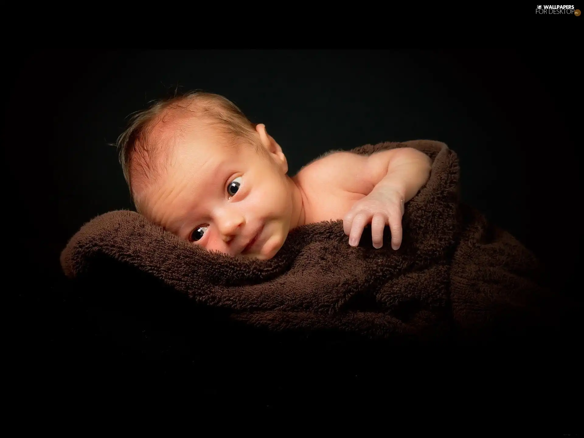 Blanket, babe, Brown