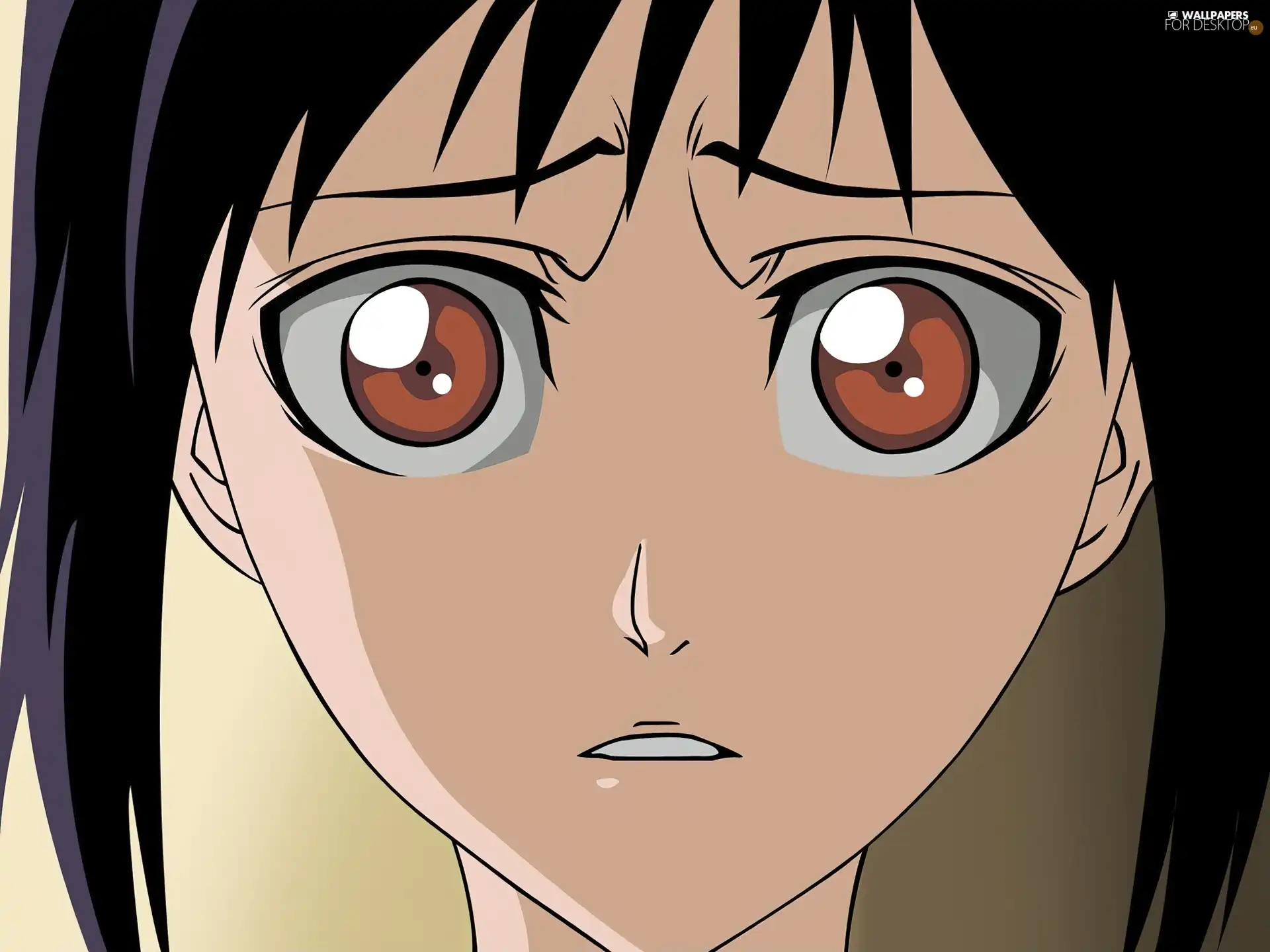 horror, bleach