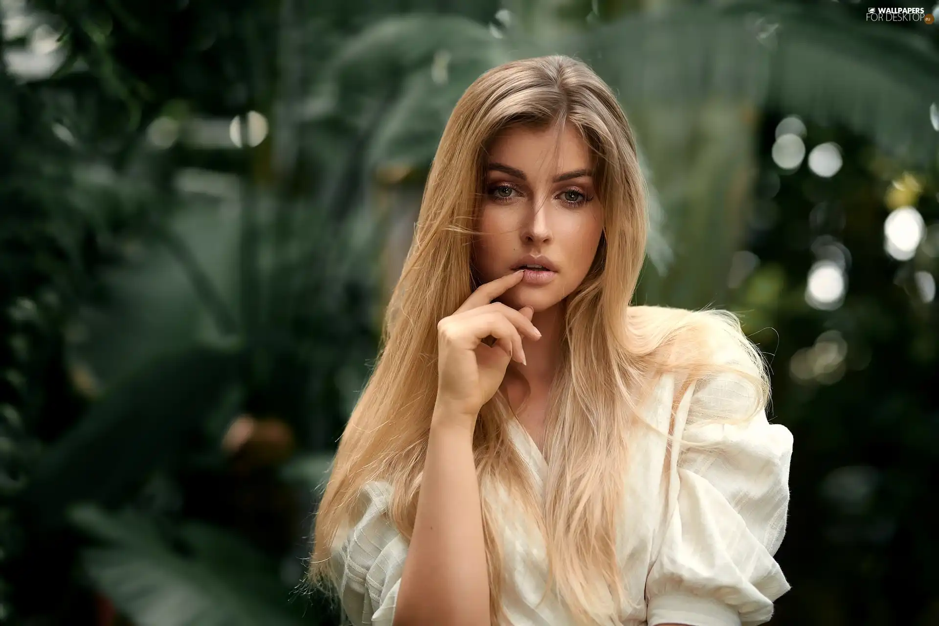 longhaired, White, Blouse, Blonde