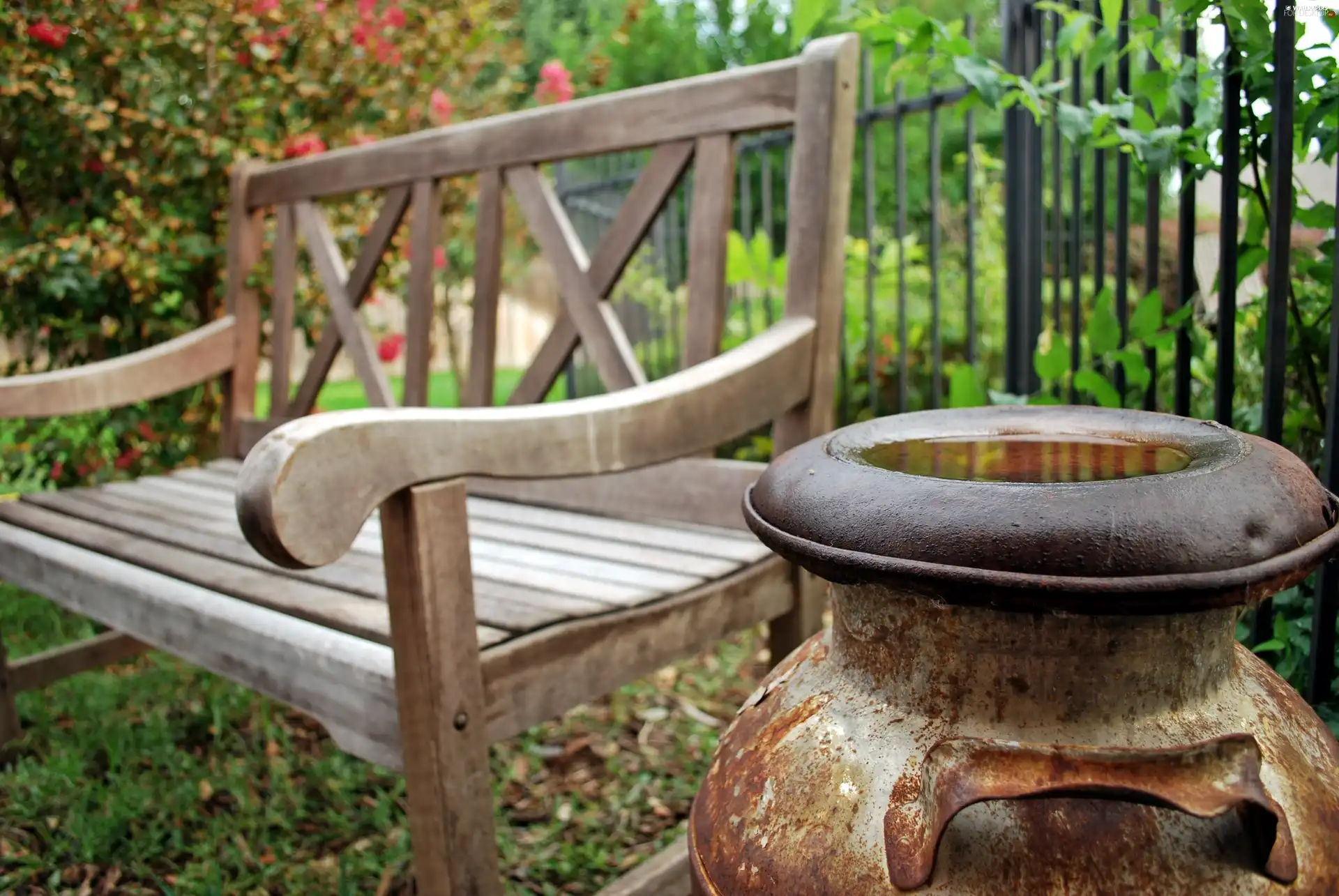 Garden, drinking fountain, blur, Bench