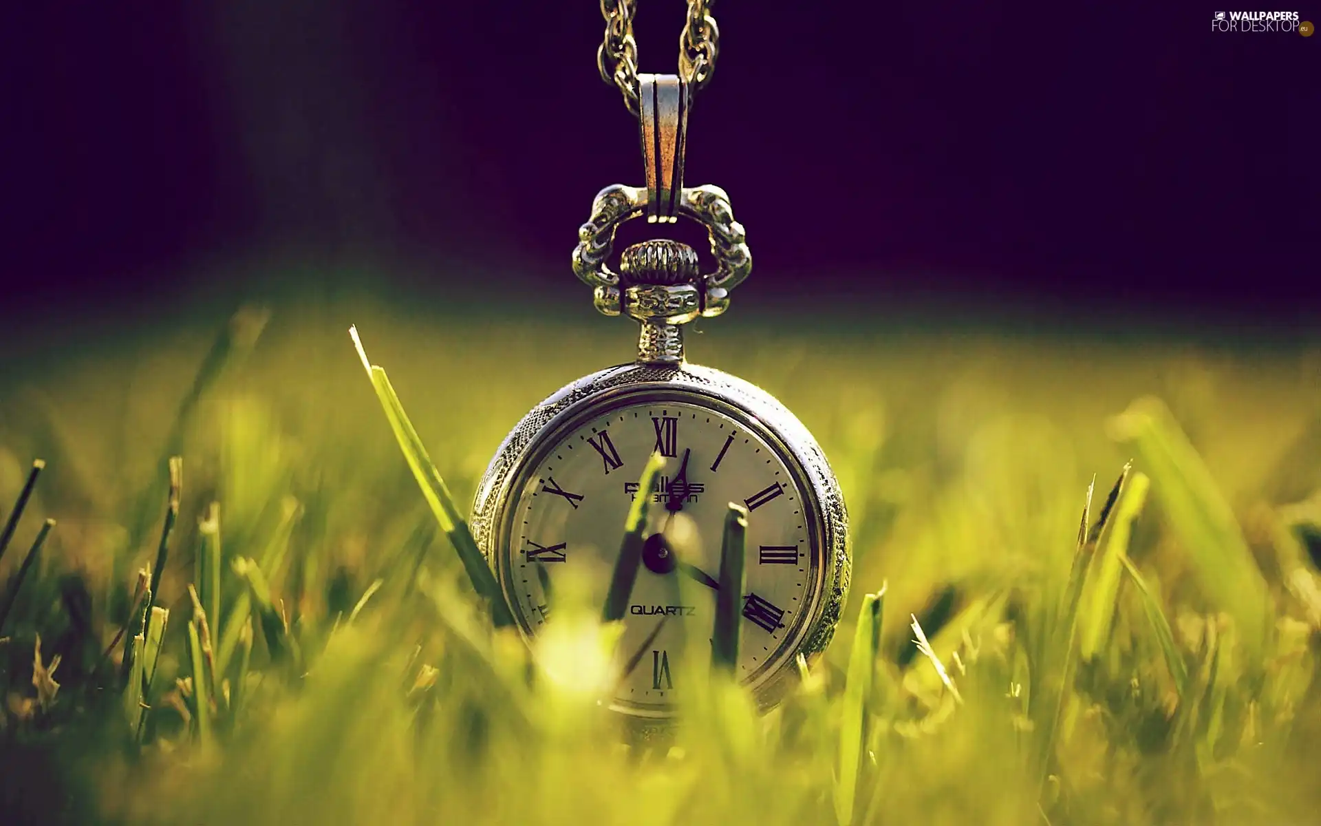 Watch, grass, blur, Retro