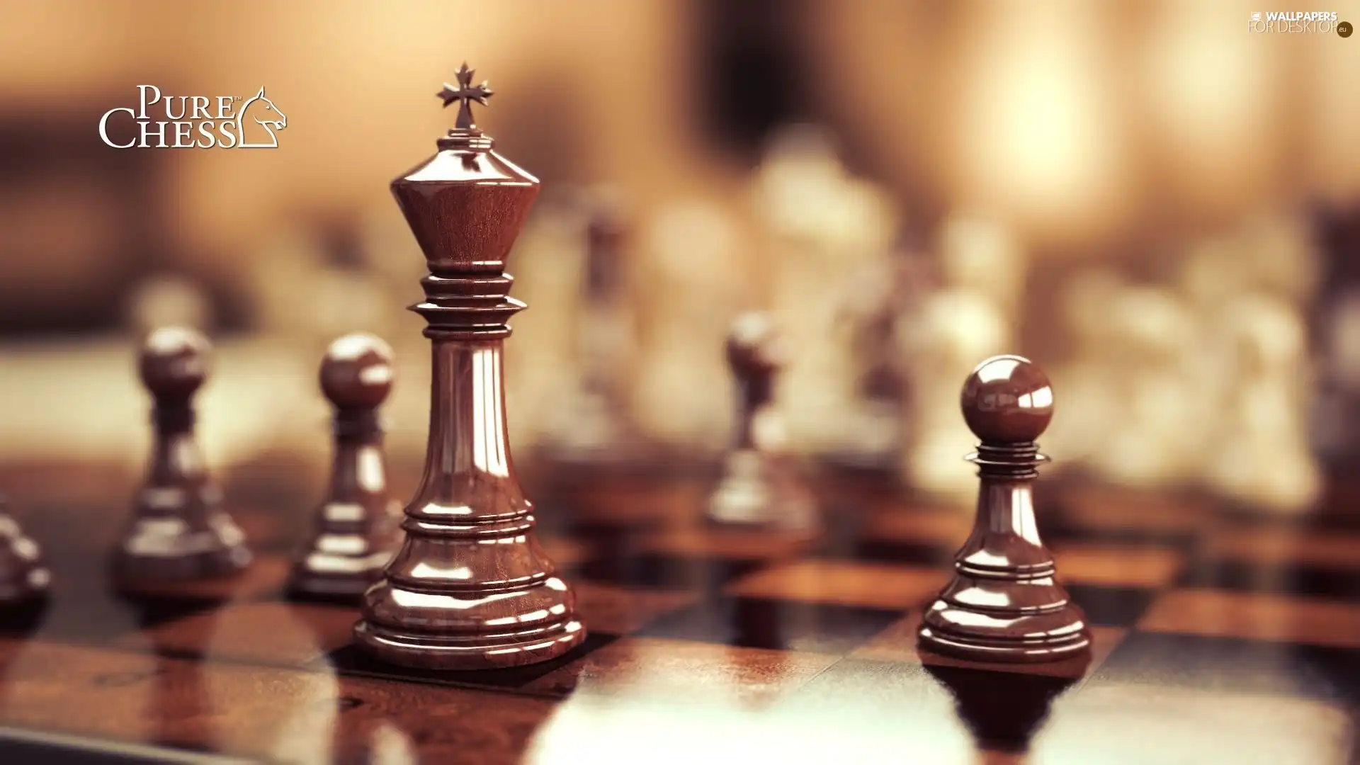 board, chess, Video, Pure Chess, game