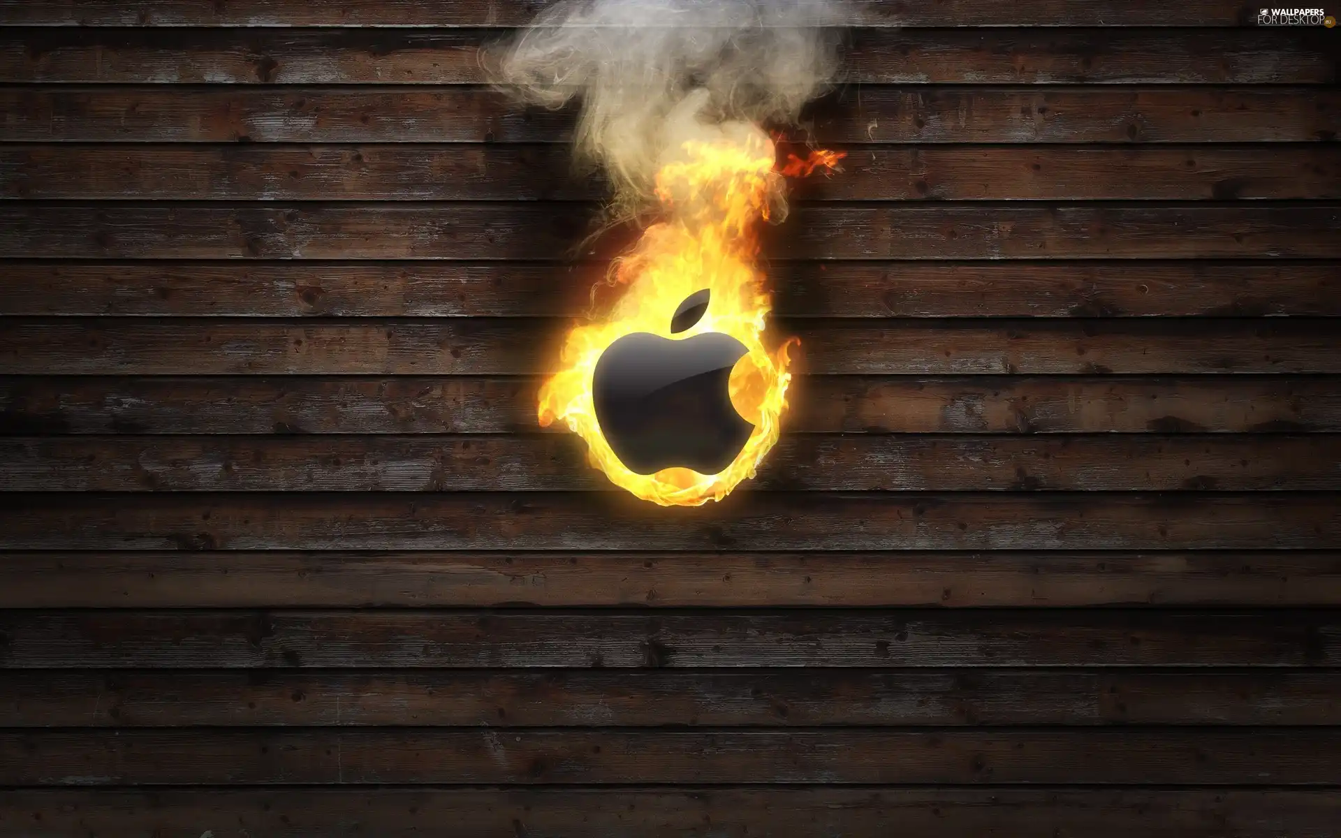 Apple, Flames, boarding, logo