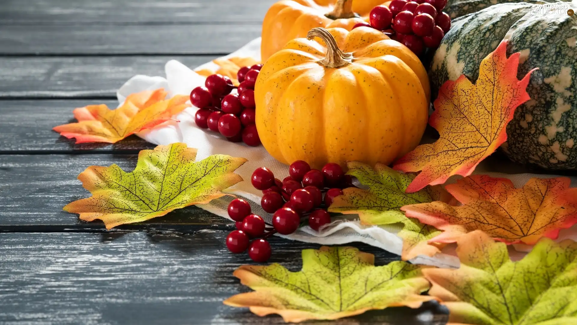 blueberries, boarding, Leaf, Red, pumpkin