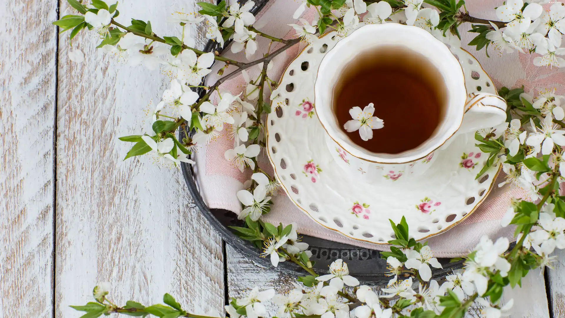 cup, tea, Twigs, boarding, Flourished, porcelain