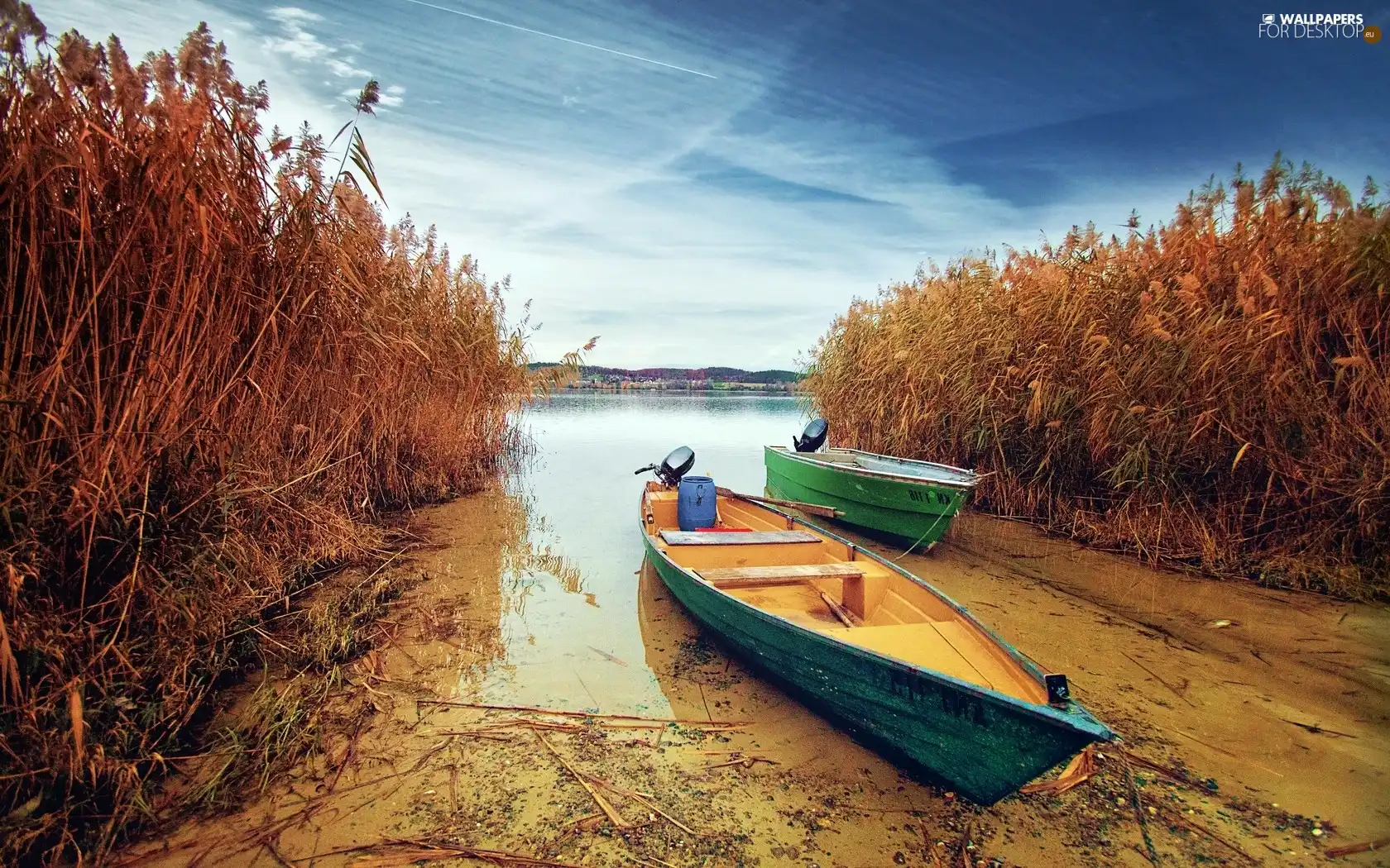 boats, lake, rushes