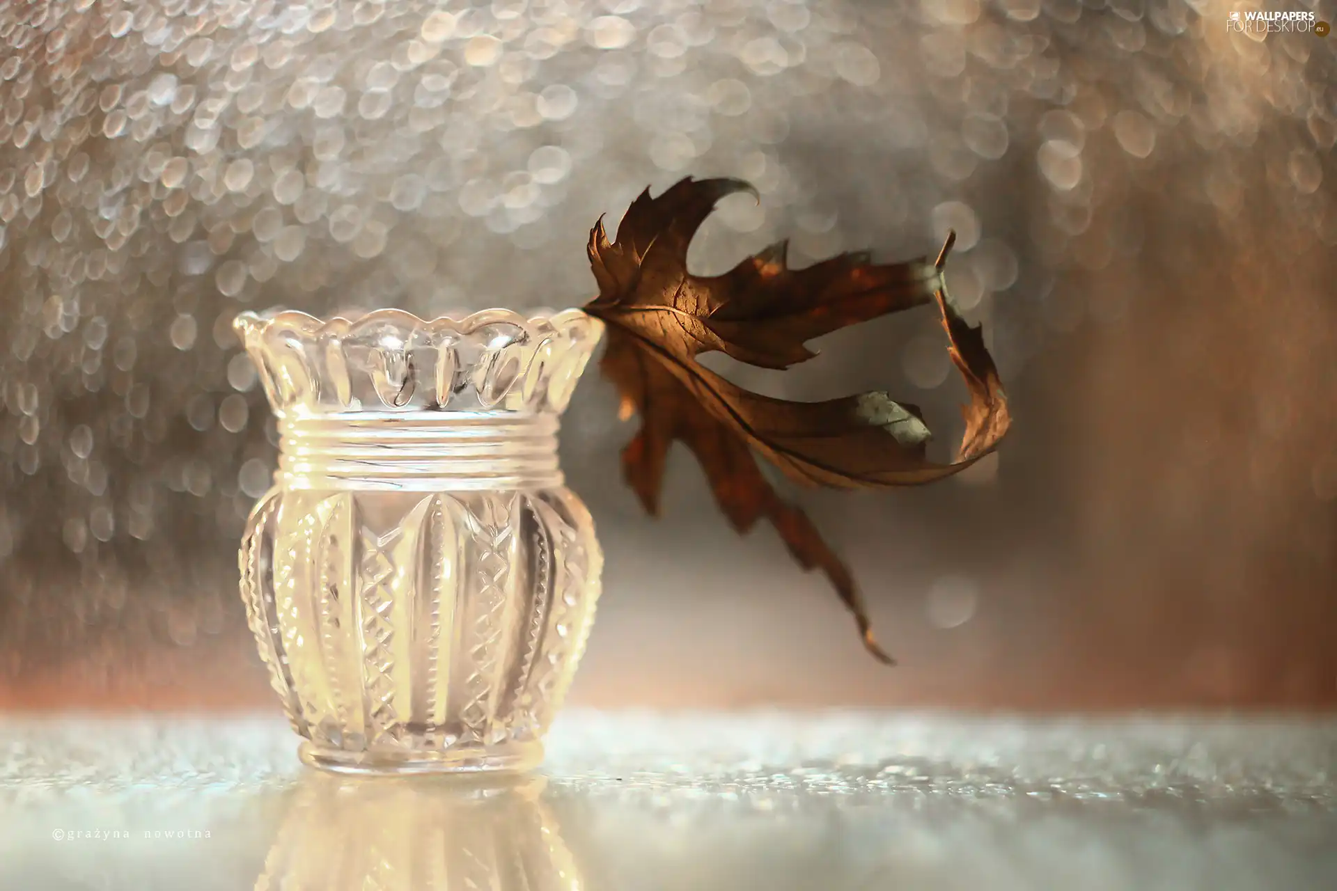 dry, vase, Bokeh, leaf