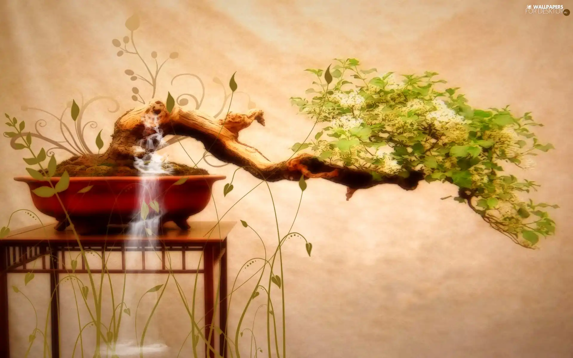 Bonsai, table, sapling