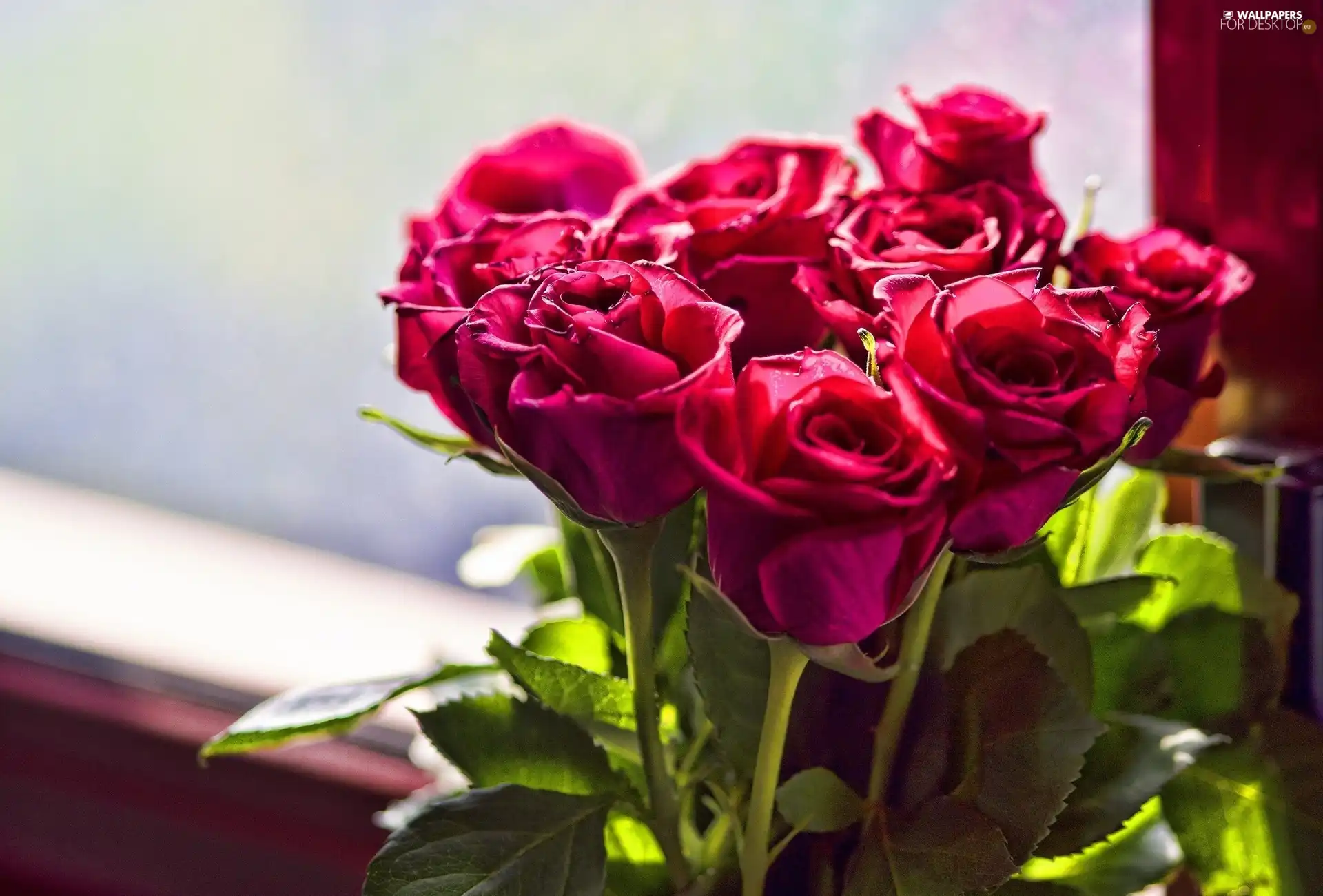 bouquet, Red, roses