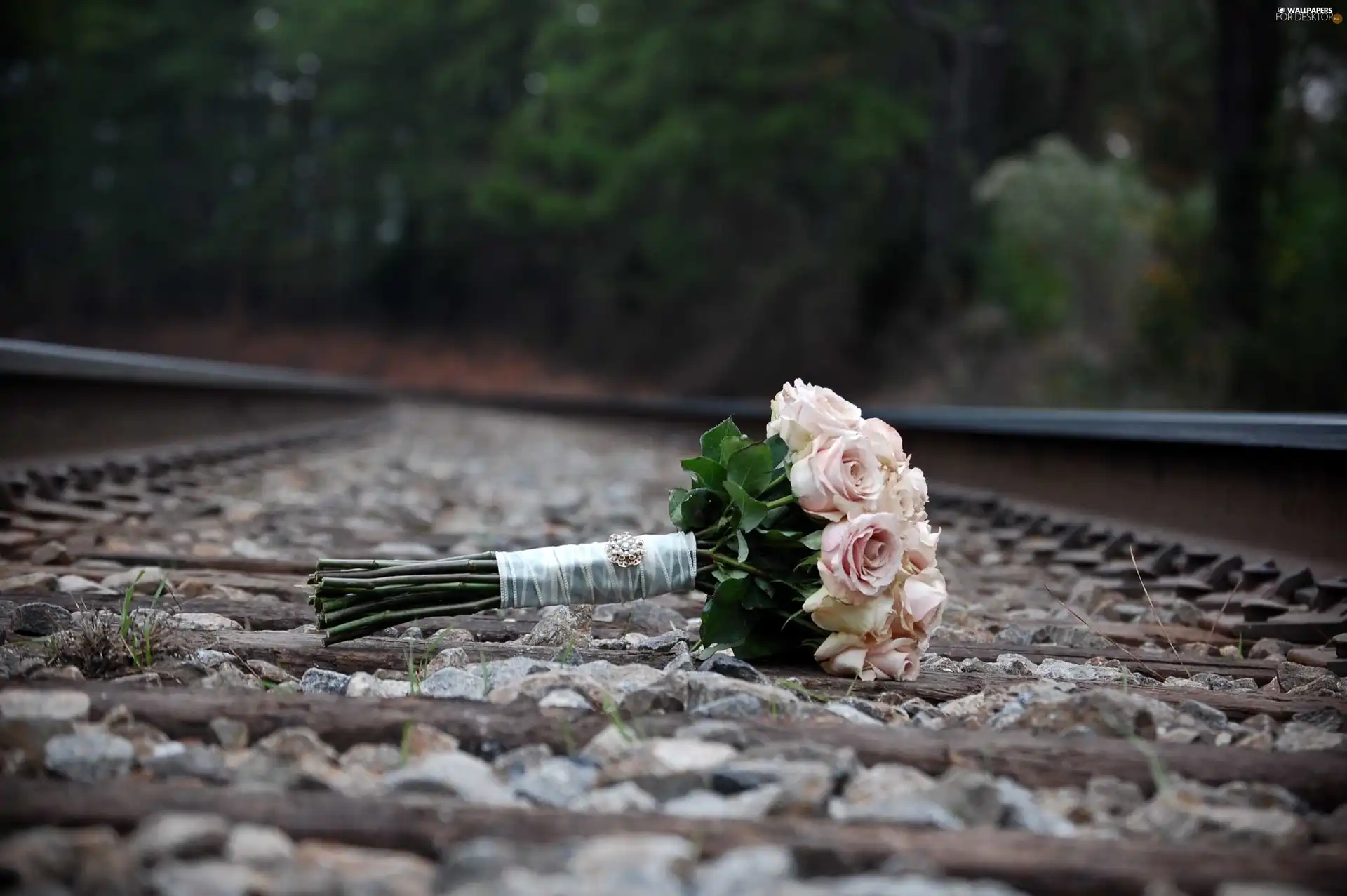 bouquet, rouge, railway, wedded, ##