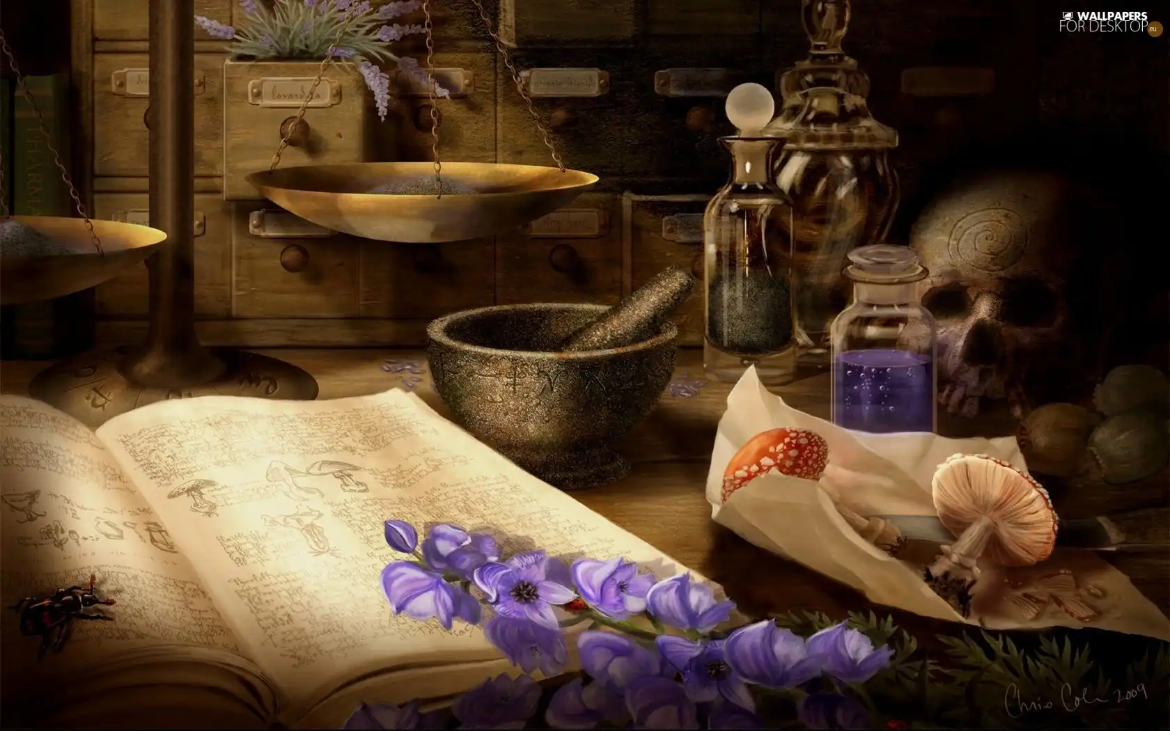 bowl of, Potions, Flowers, skull, book