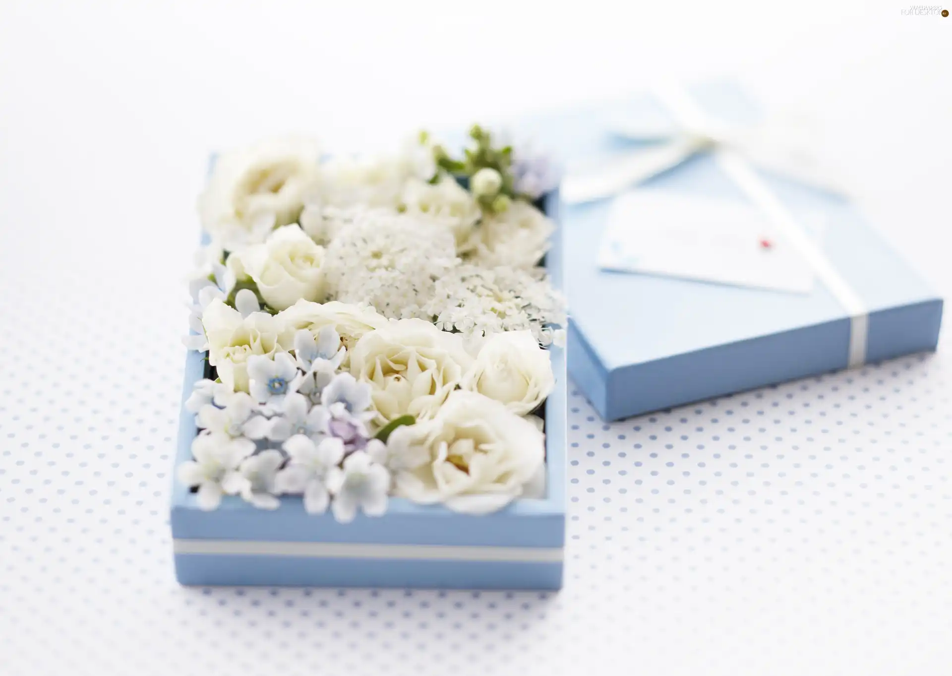 Present, Box