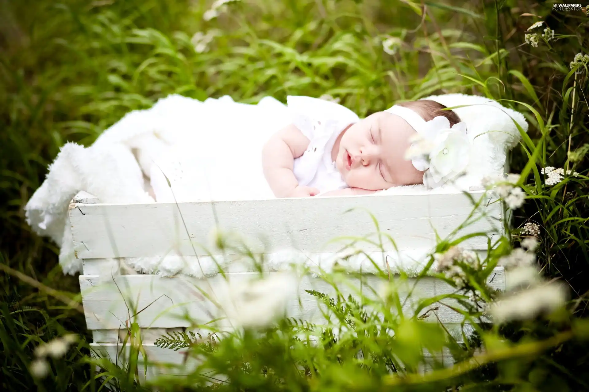 small, girl, box, the sleeping