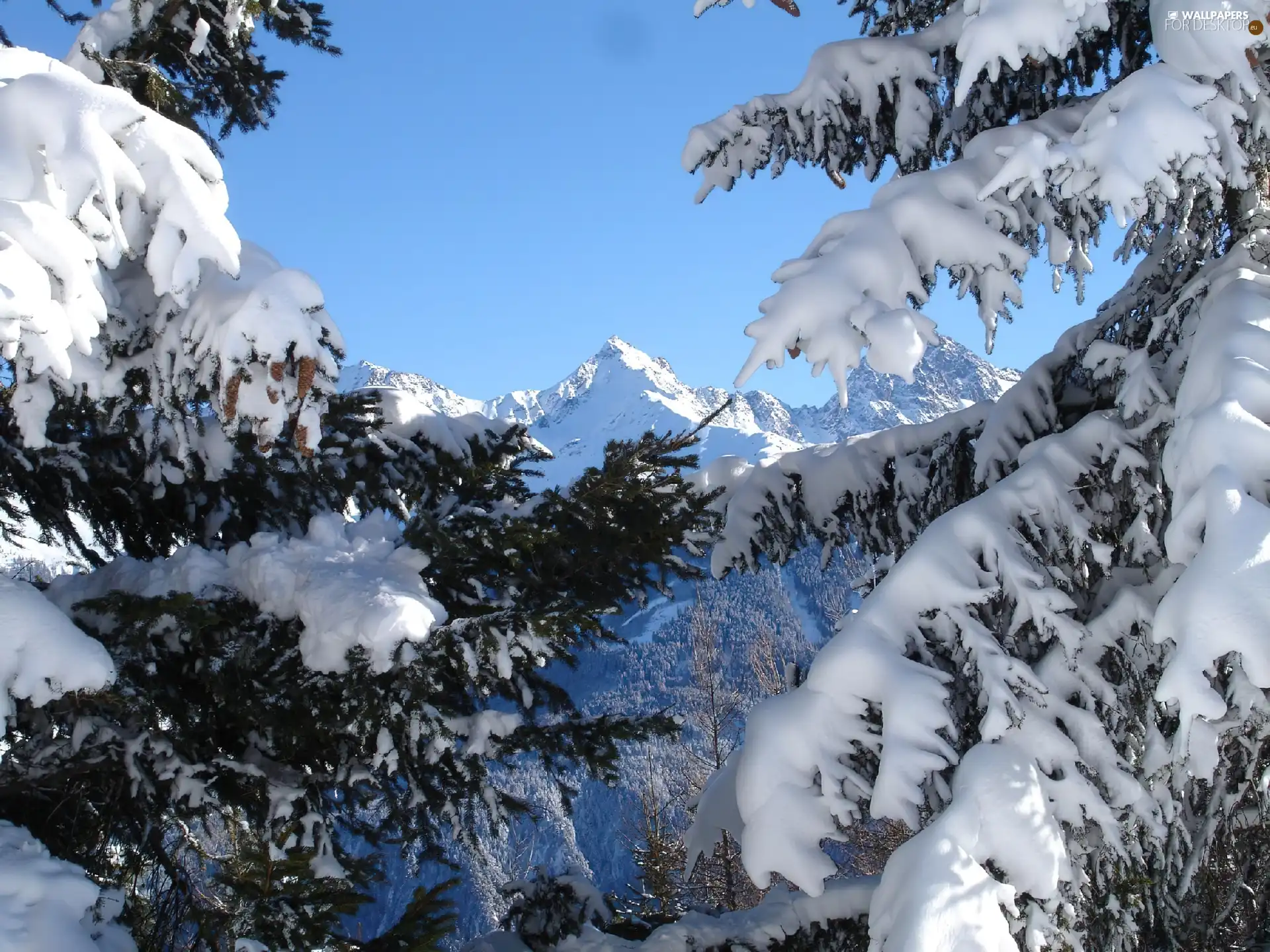 winter, Snowy, branch pics, Mountains