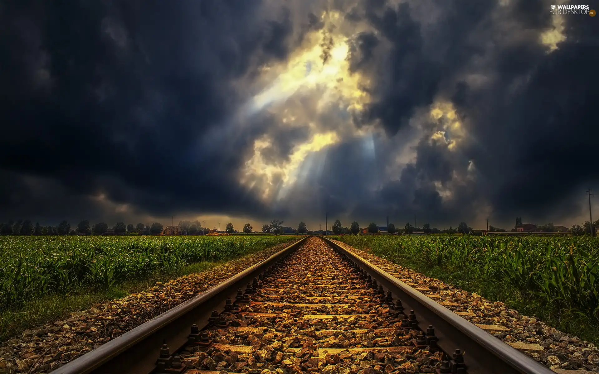 ##, clouds, light breaking through sky, Field