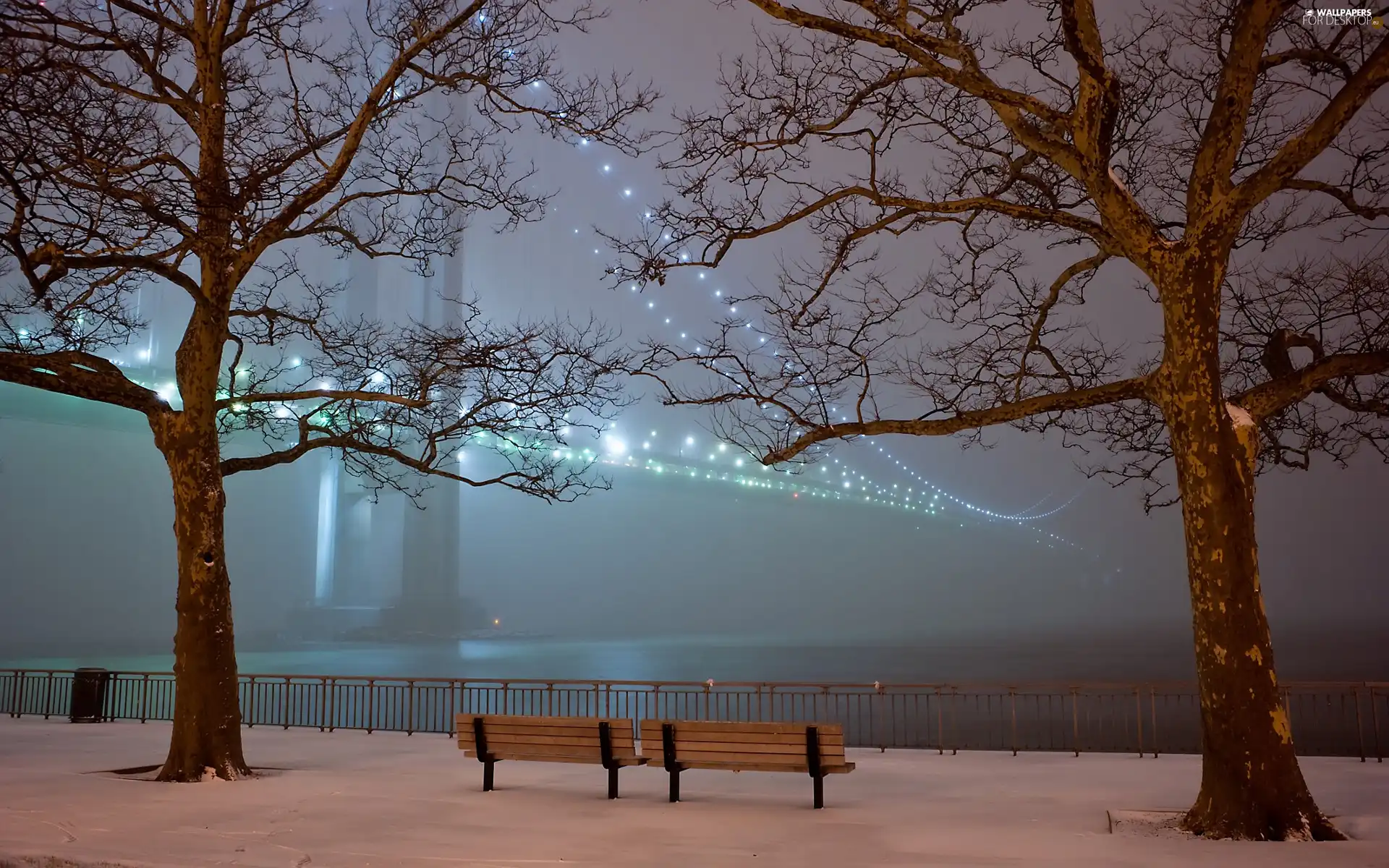 viewes, snow, light, trees, bench, bridge, Night