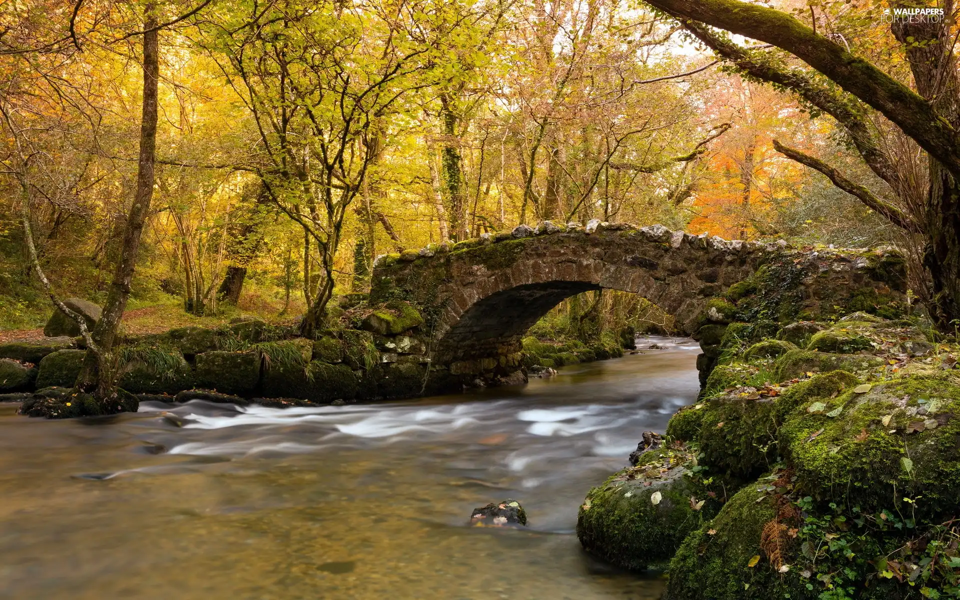 bridge, River, Park