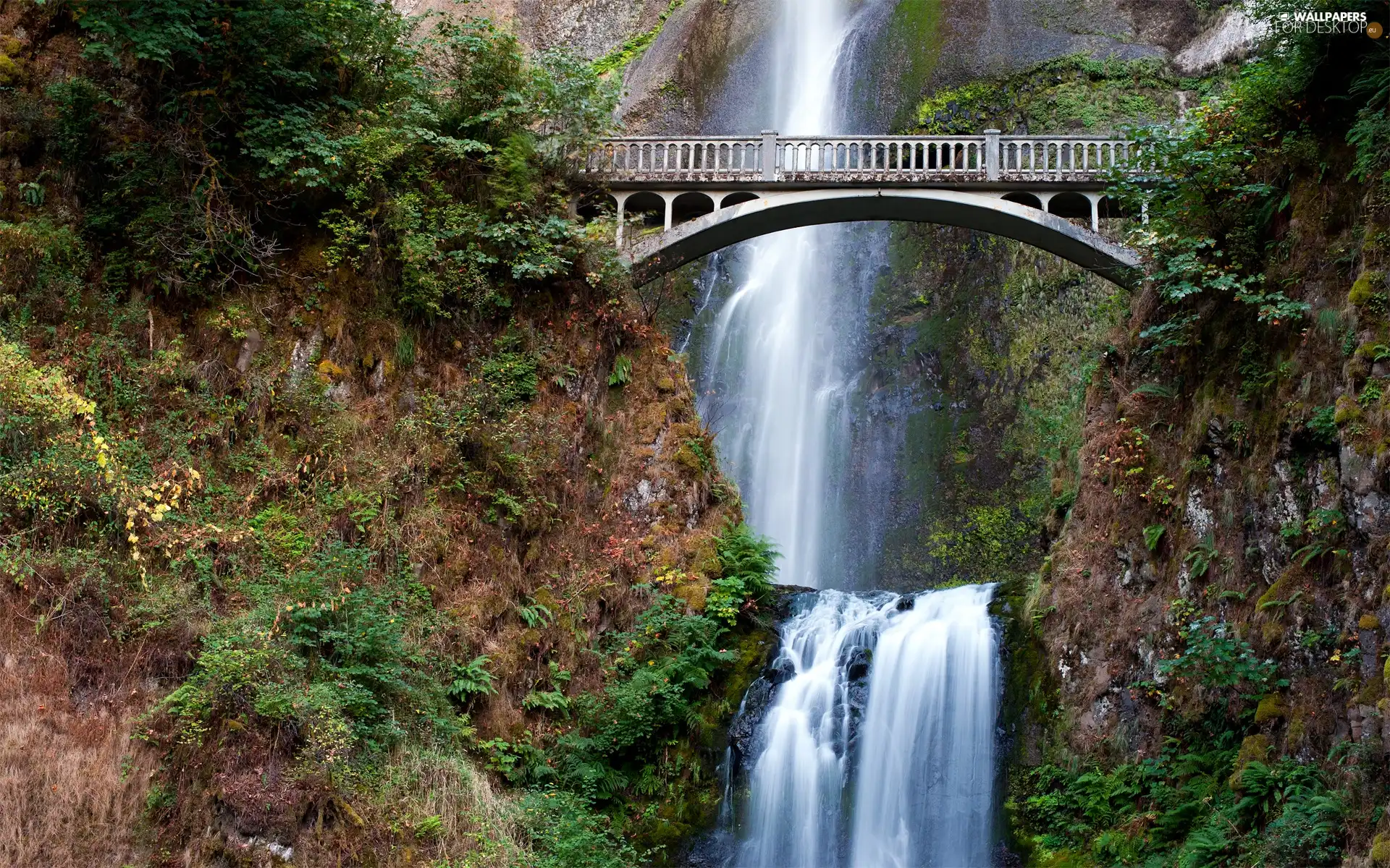 waterfall, viewes, bridge, trees