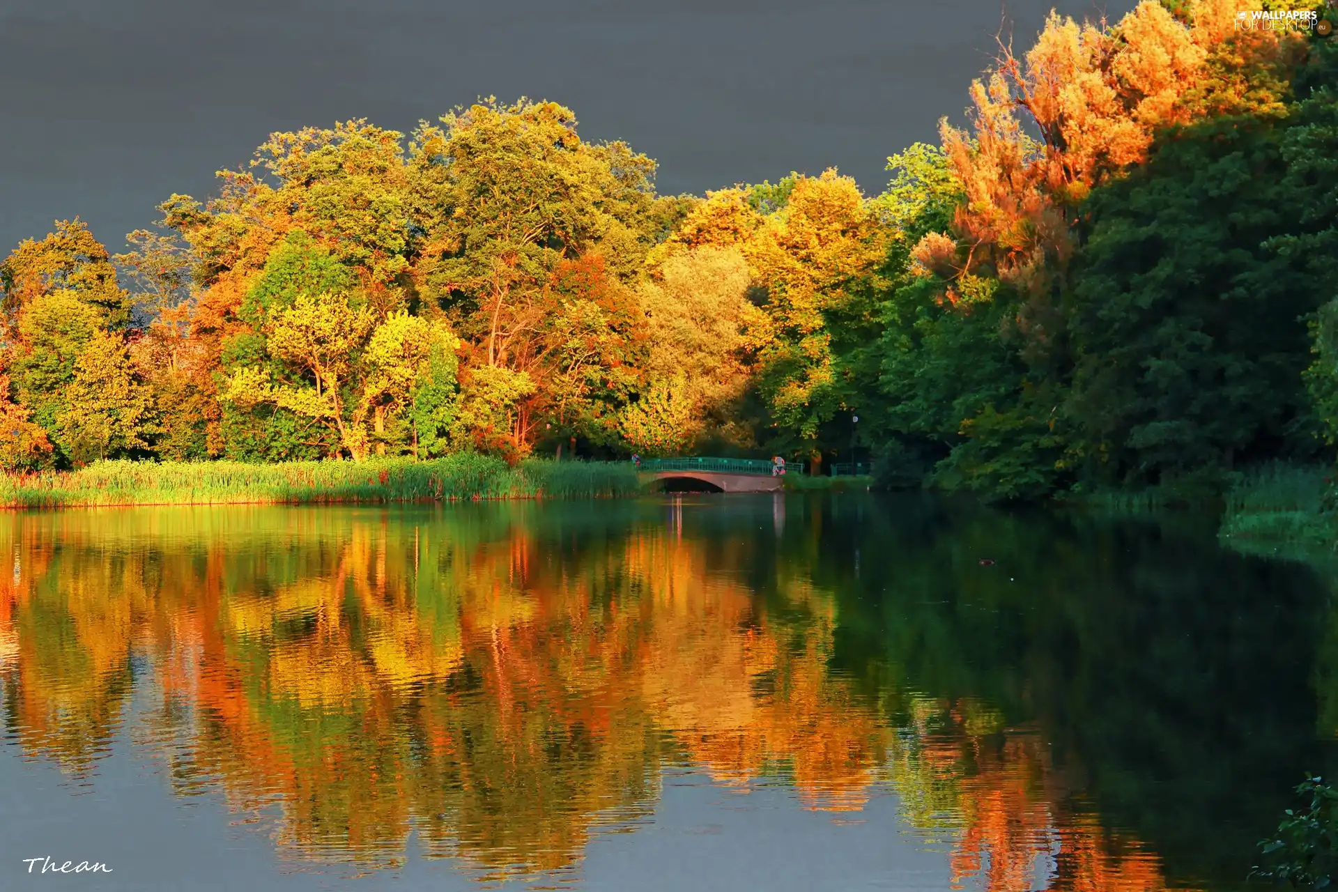 bridges, reflection, trees, viewes, lake