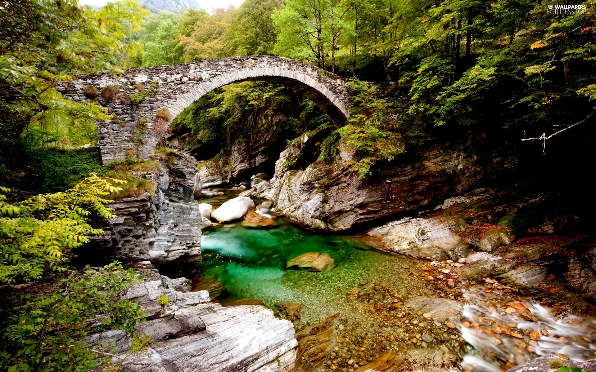 forest, Stones, brook, bridges