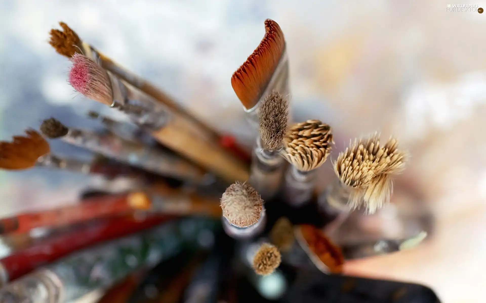 Brushes