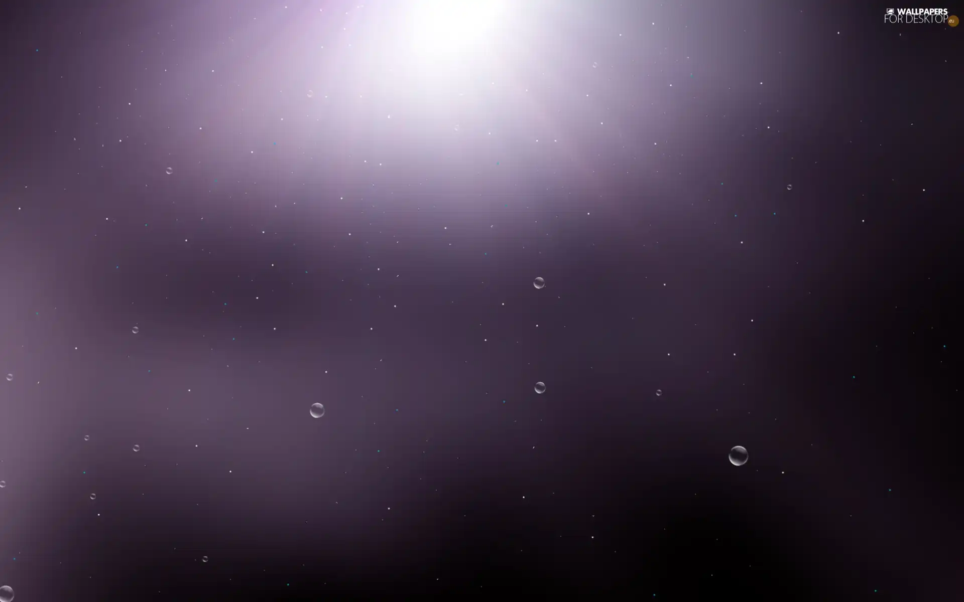bubbles, purple, background