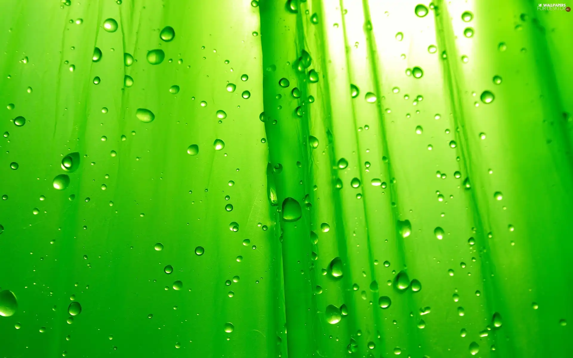 bubbles, Green, liquid