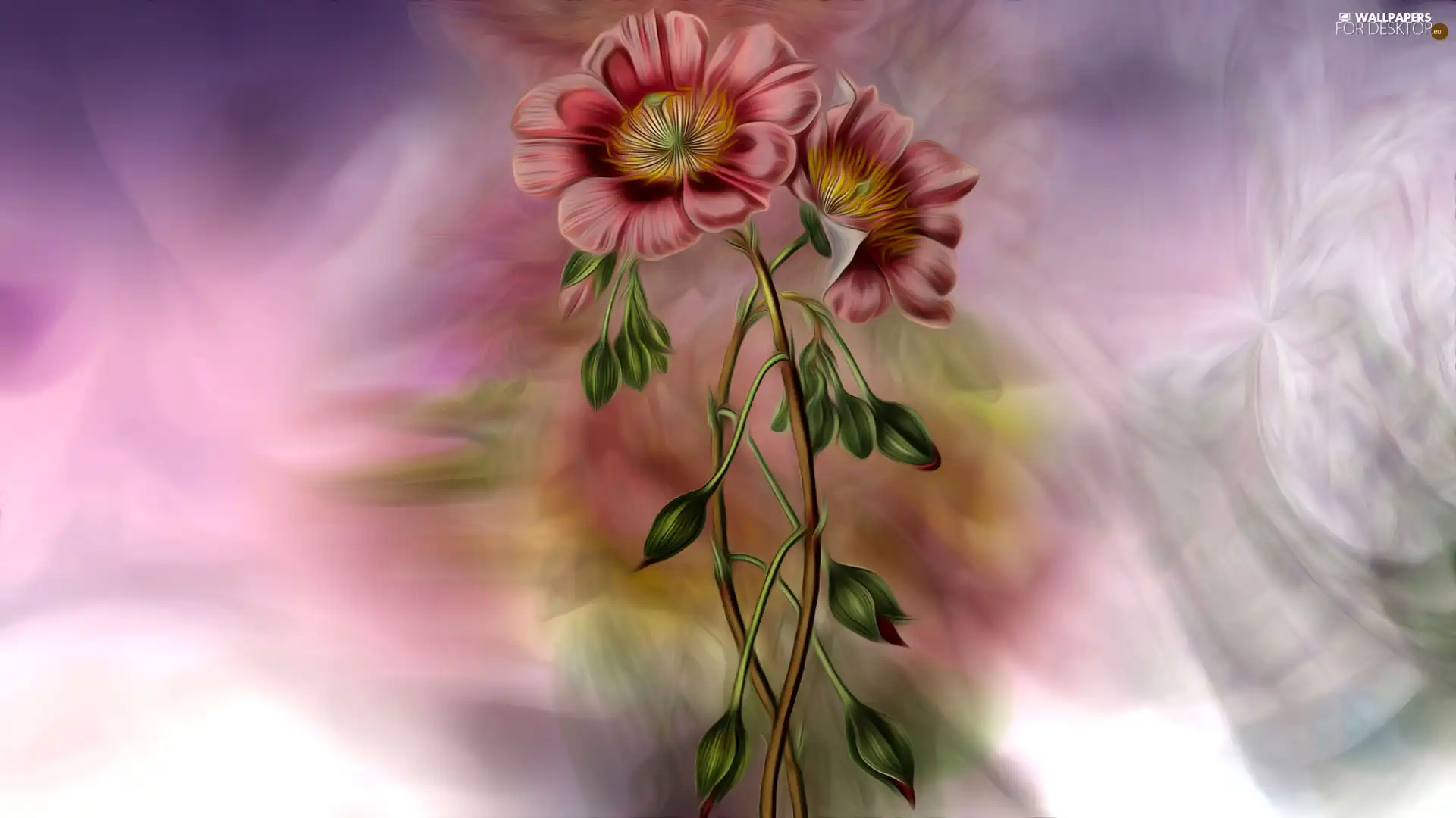 graphics, Colourfull Flowers, Buds