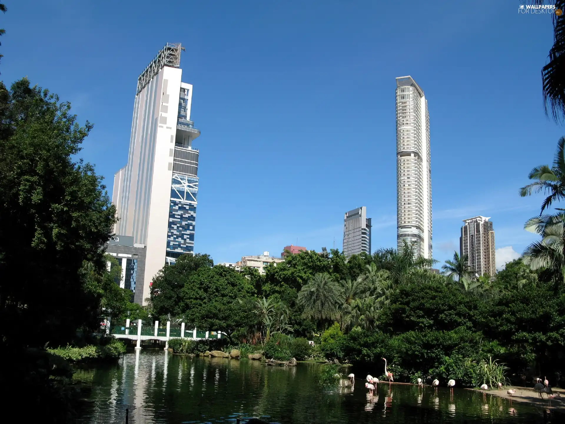 buildings, Town, high