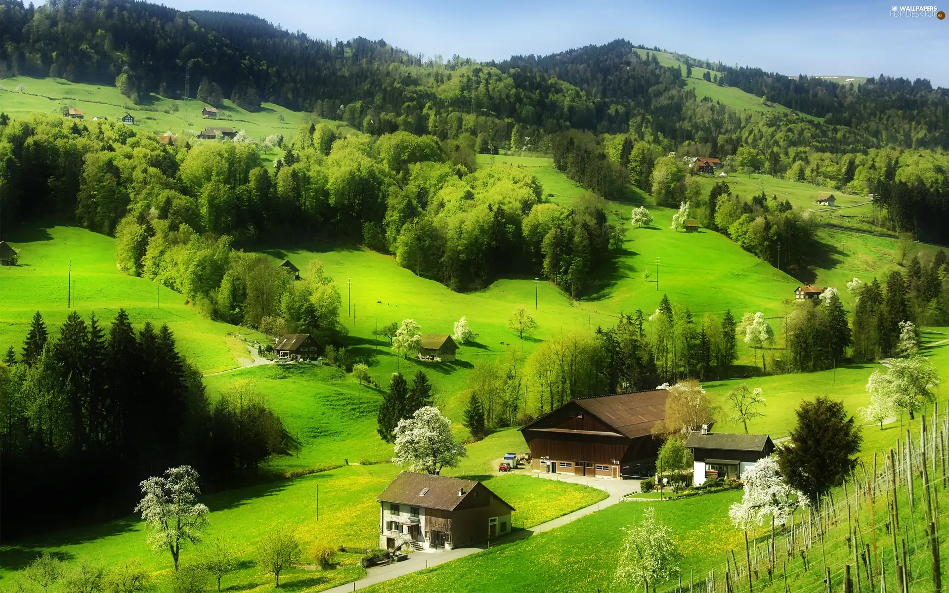 Mountains, medows, buildings, woods