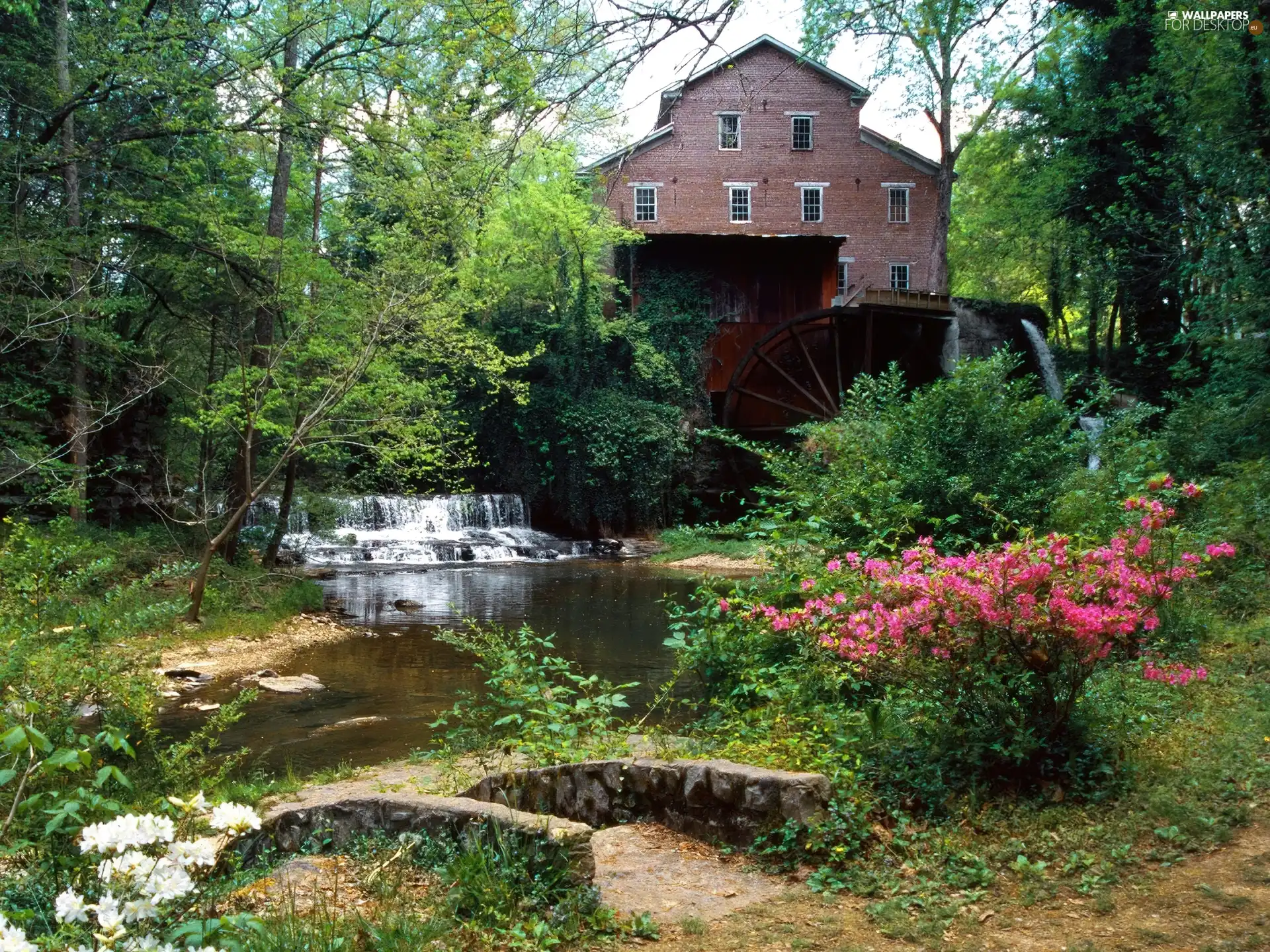 brook, Windmill, trees, cascade, Old car, Bush, viewes