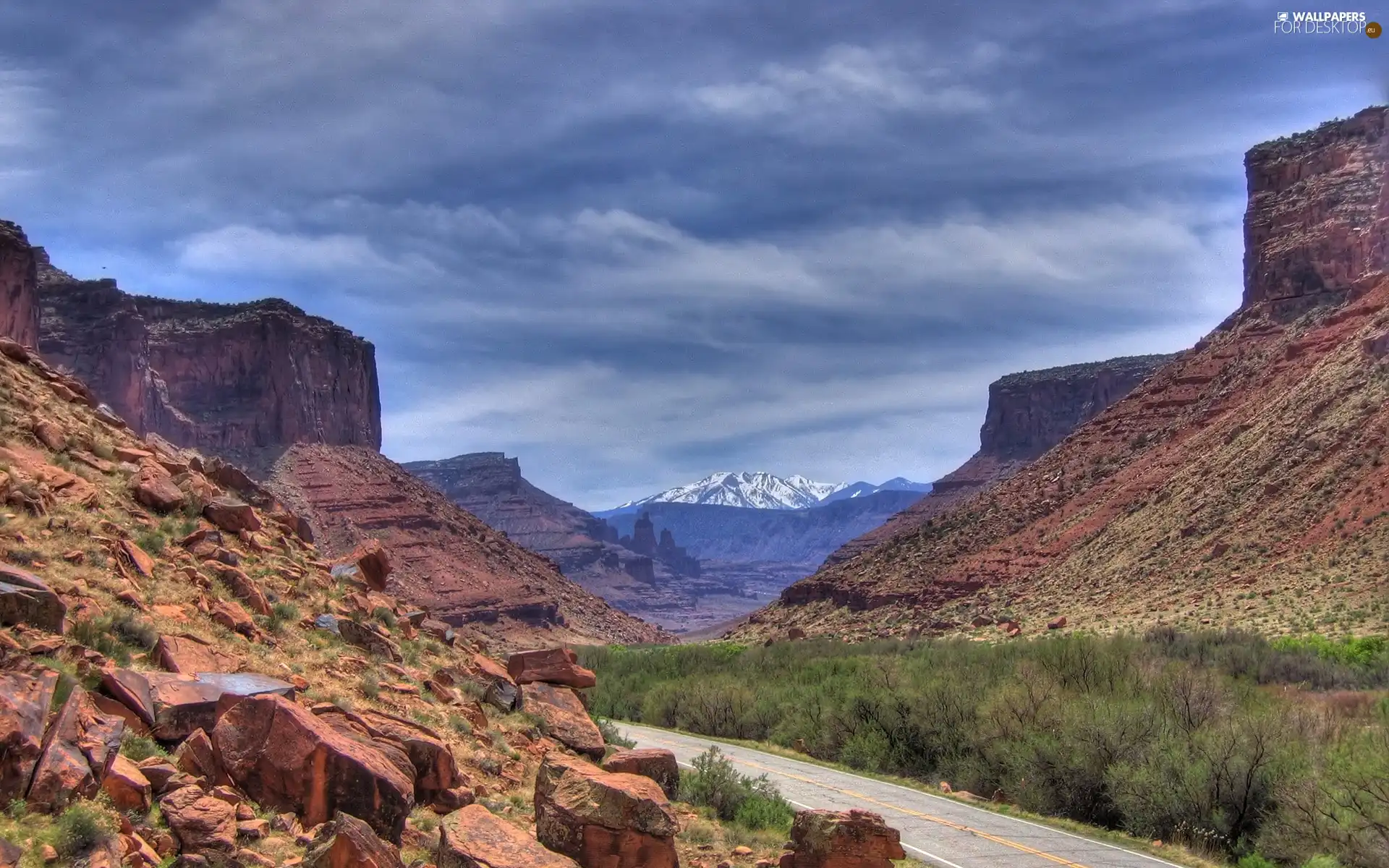 Desert, Mountains, Bush, Way