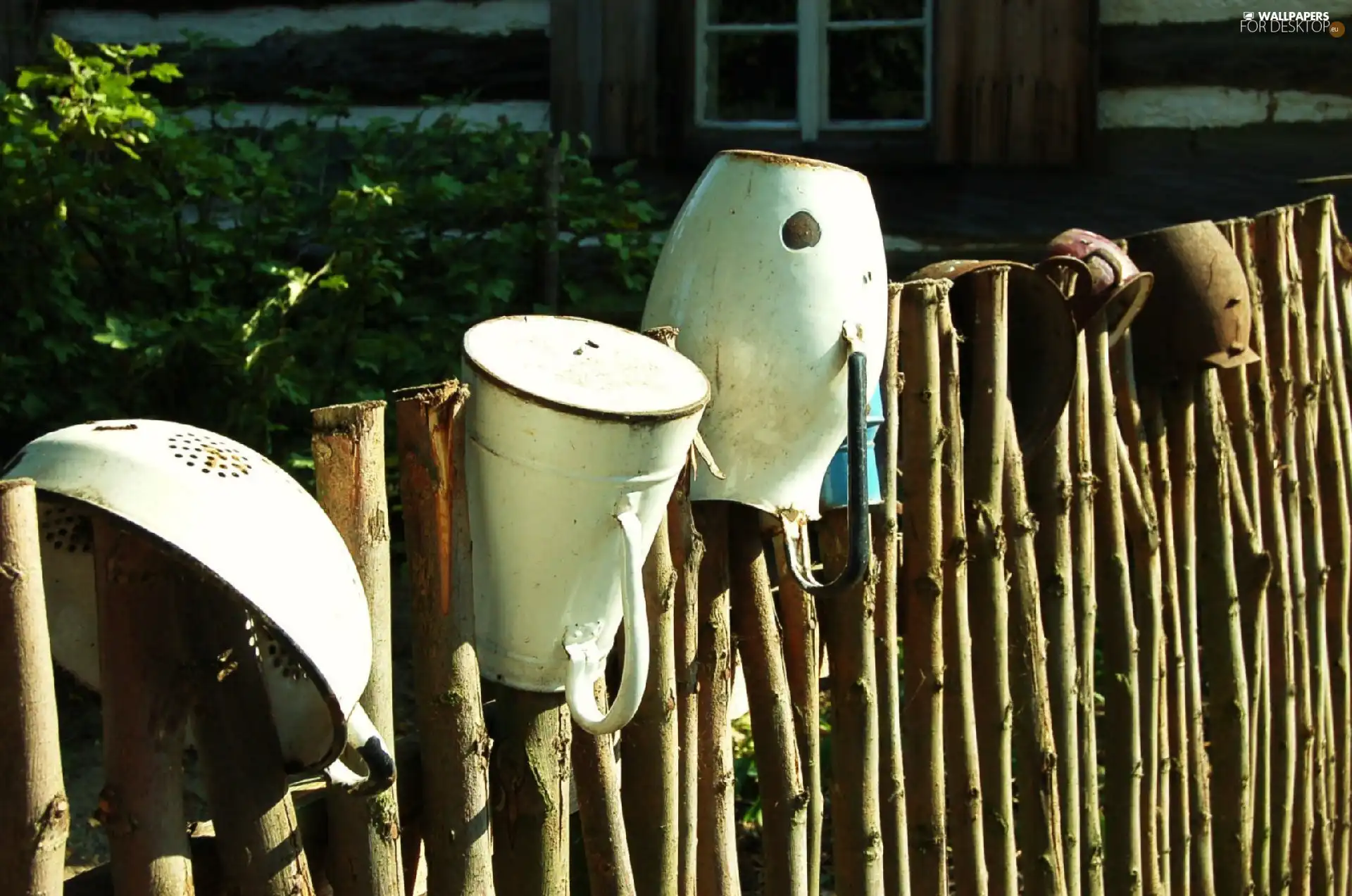 house, watches, Bush, Fance