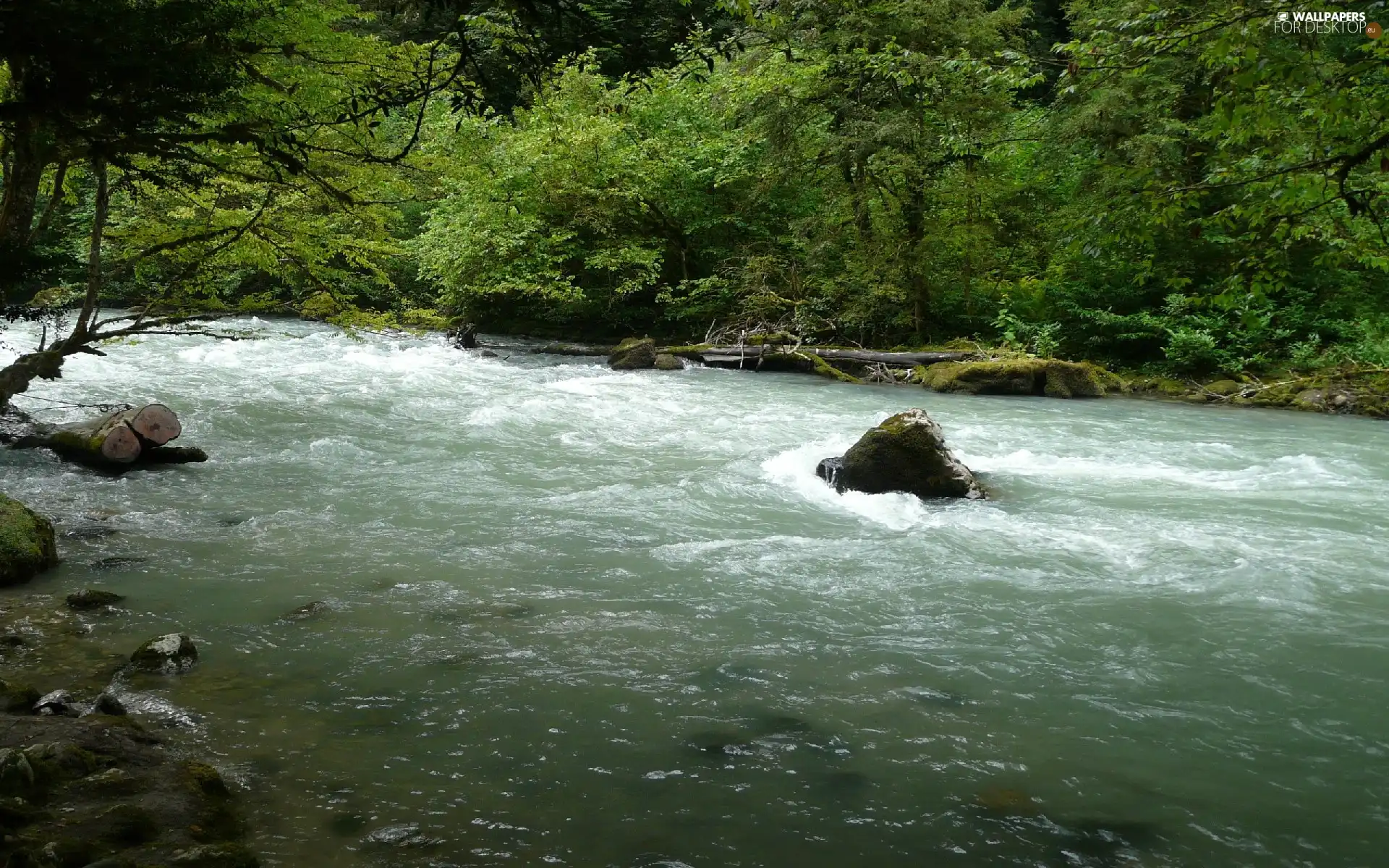 River, rocks, Bush, forest