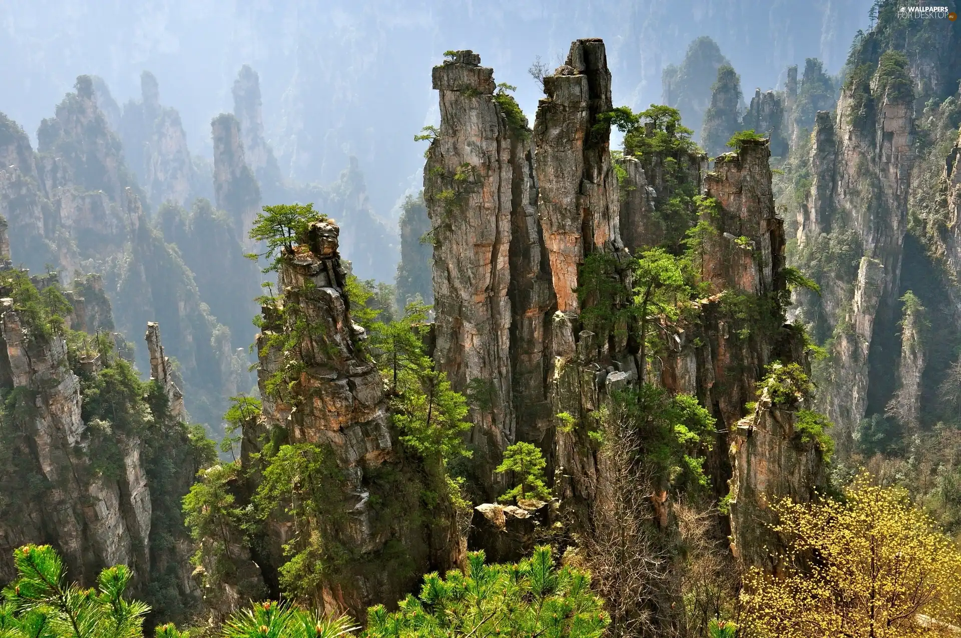 rocks, viewes, Bush, trees