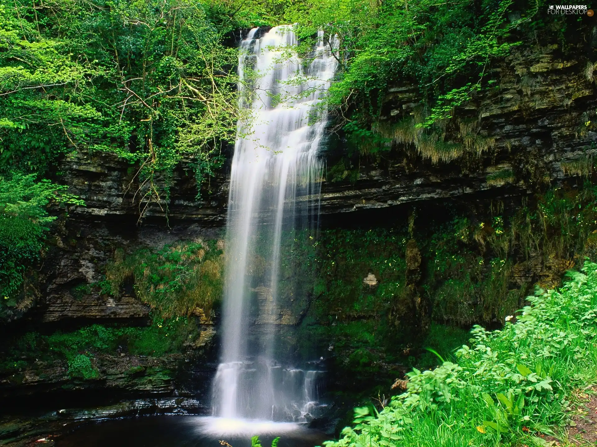 waterfall, scrub, Bush, rocks