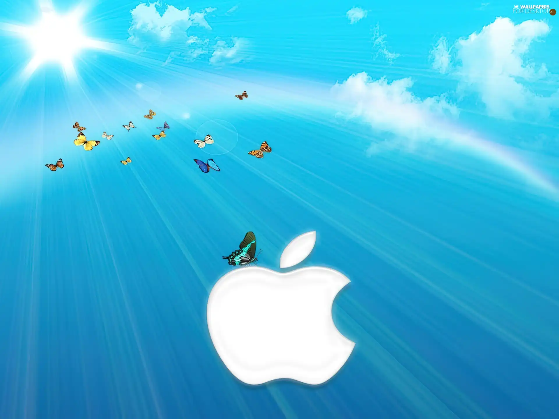 butterflies, Apple, clouds