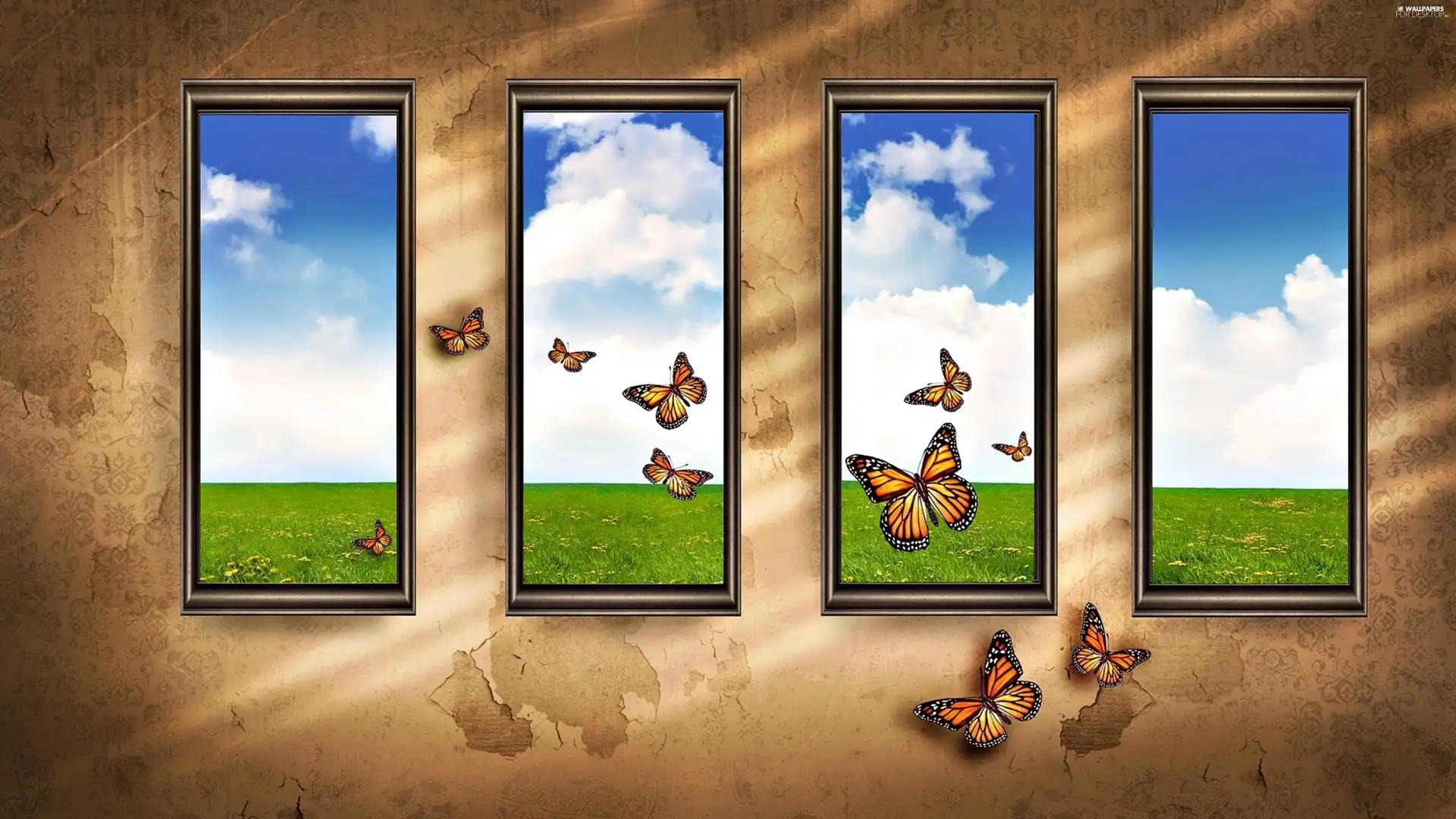 butterflies, Window, Meadow
