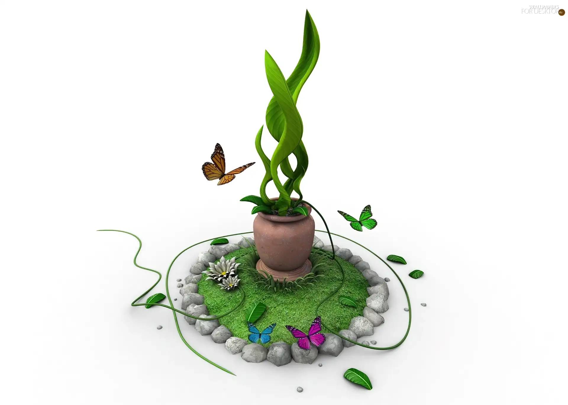 Green, pot, butterfly, plant