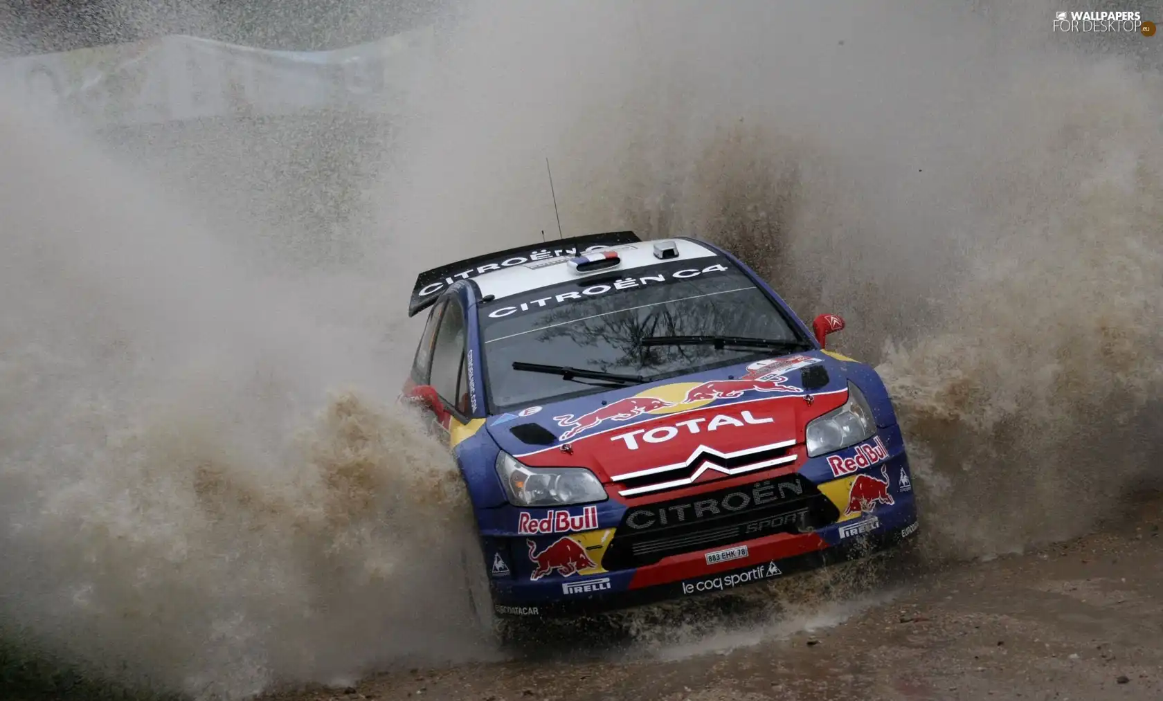 Citroen C4 WRC