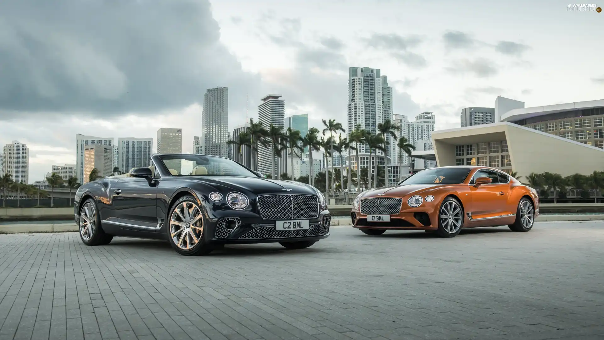 Cabriolet, coupe, cars, Bentley Continental GT V8, Two cars