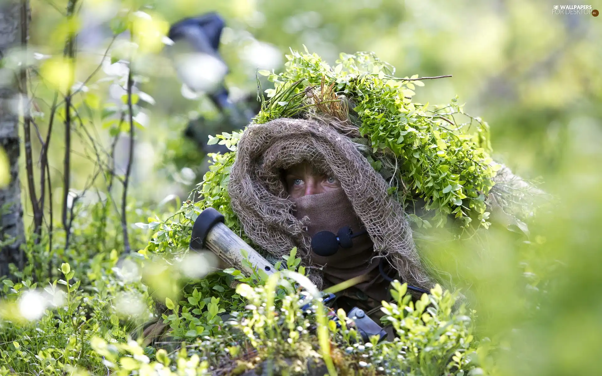 camouflage, soldier, forest