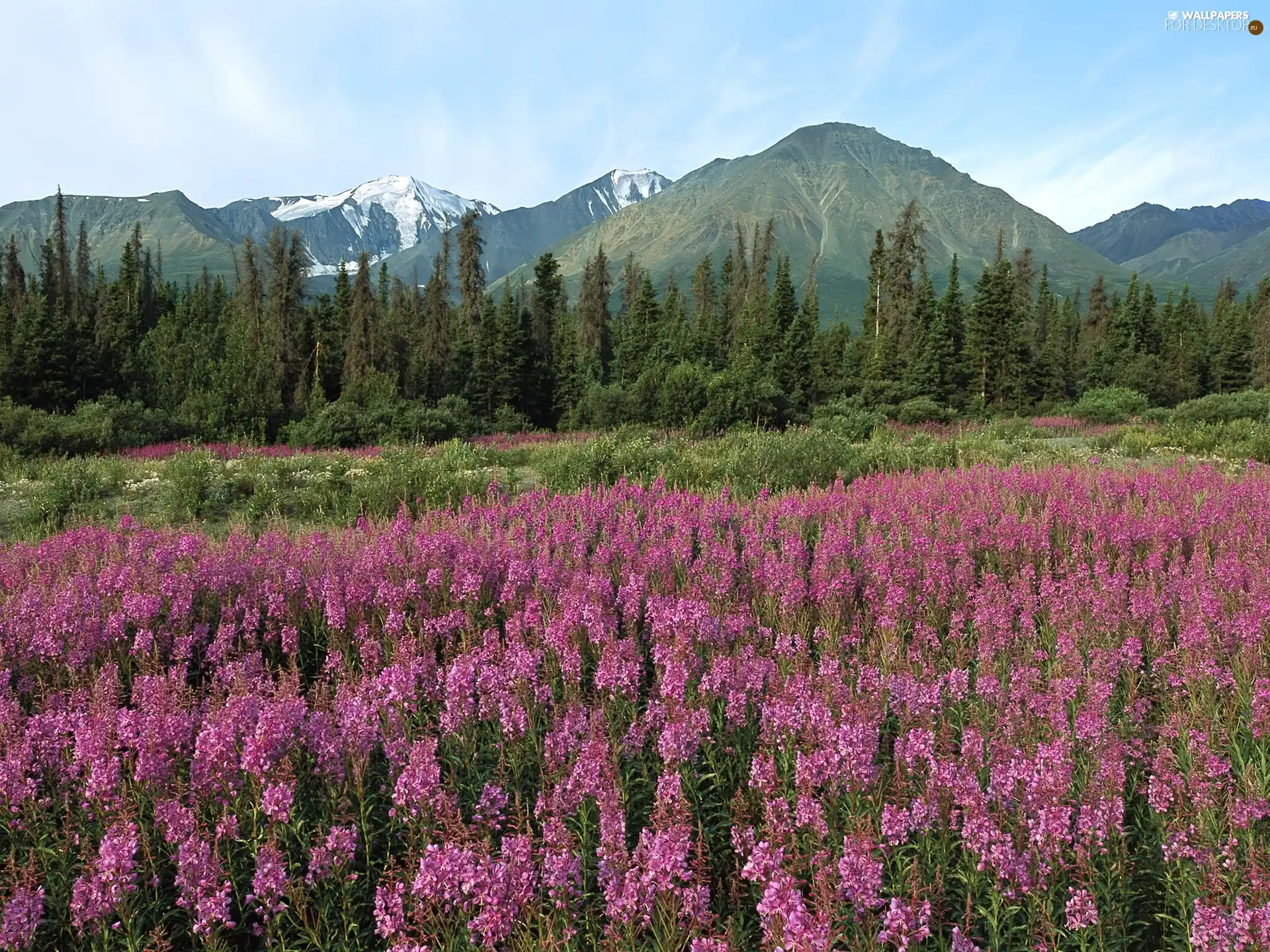 Mountains, Canada