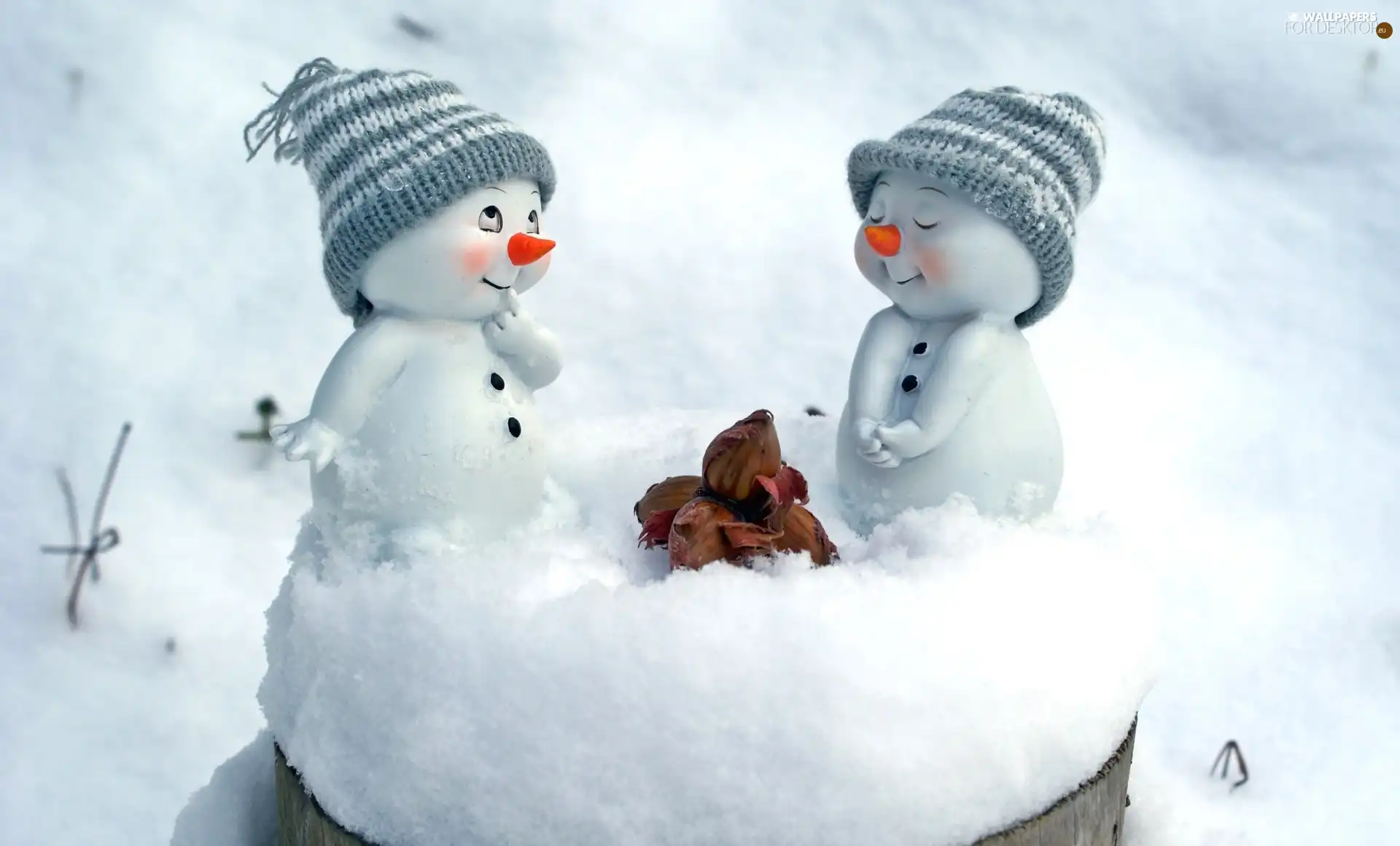 caps, snow, snowmen