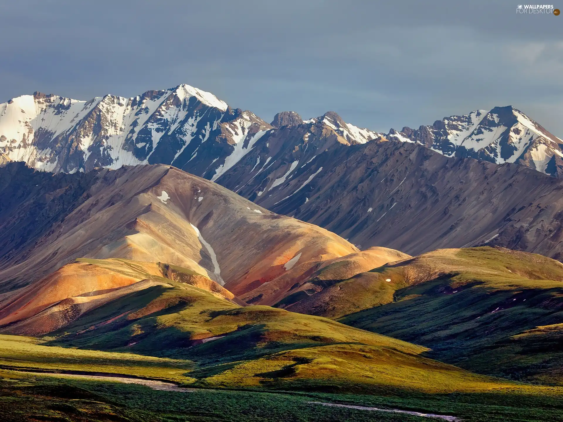 Mountains, car in the meadow