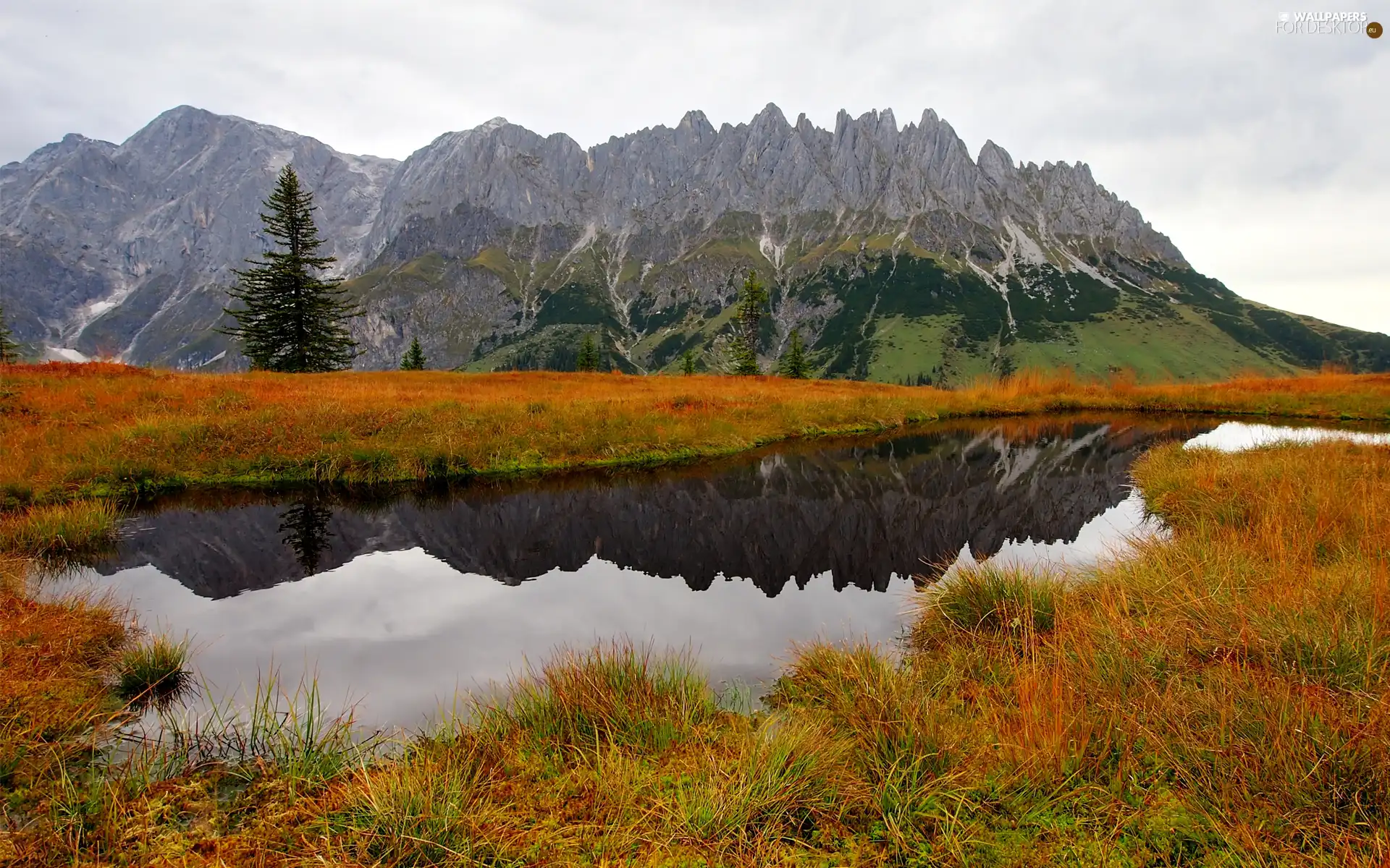 trees, autumn, Pond - car, grass, viewes, Mountains