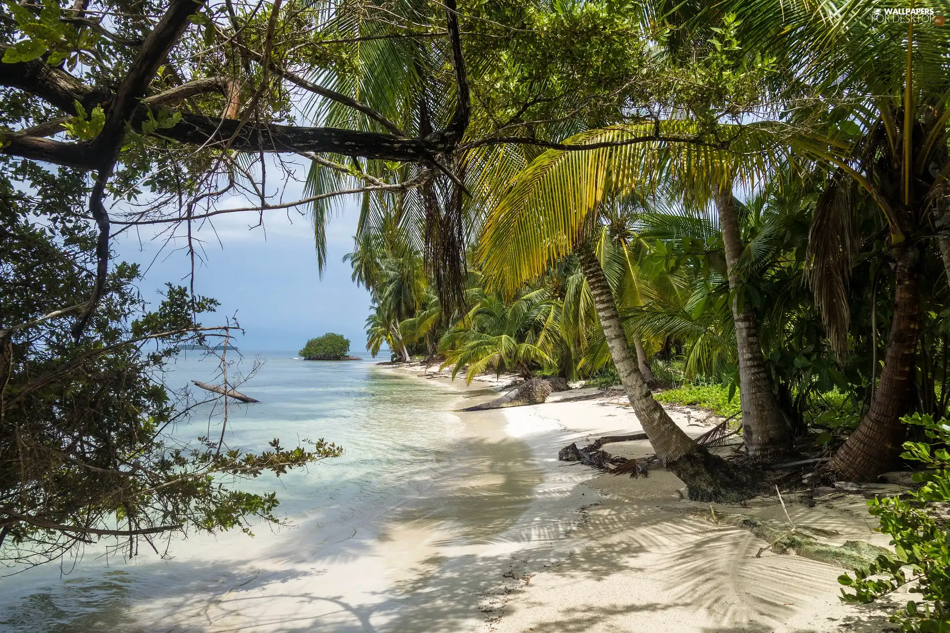 Beaches, Palms, Beaches, Caribbean Sea, Panama