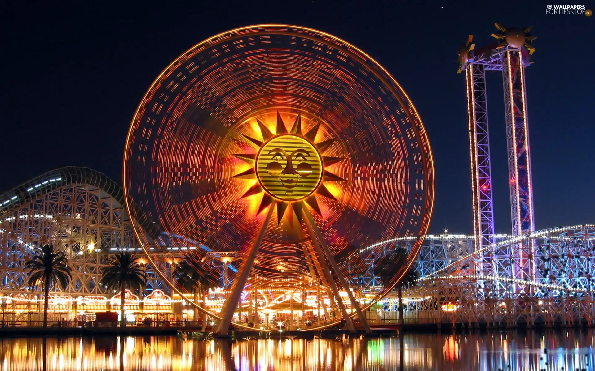 carousel, prettily, illuminated