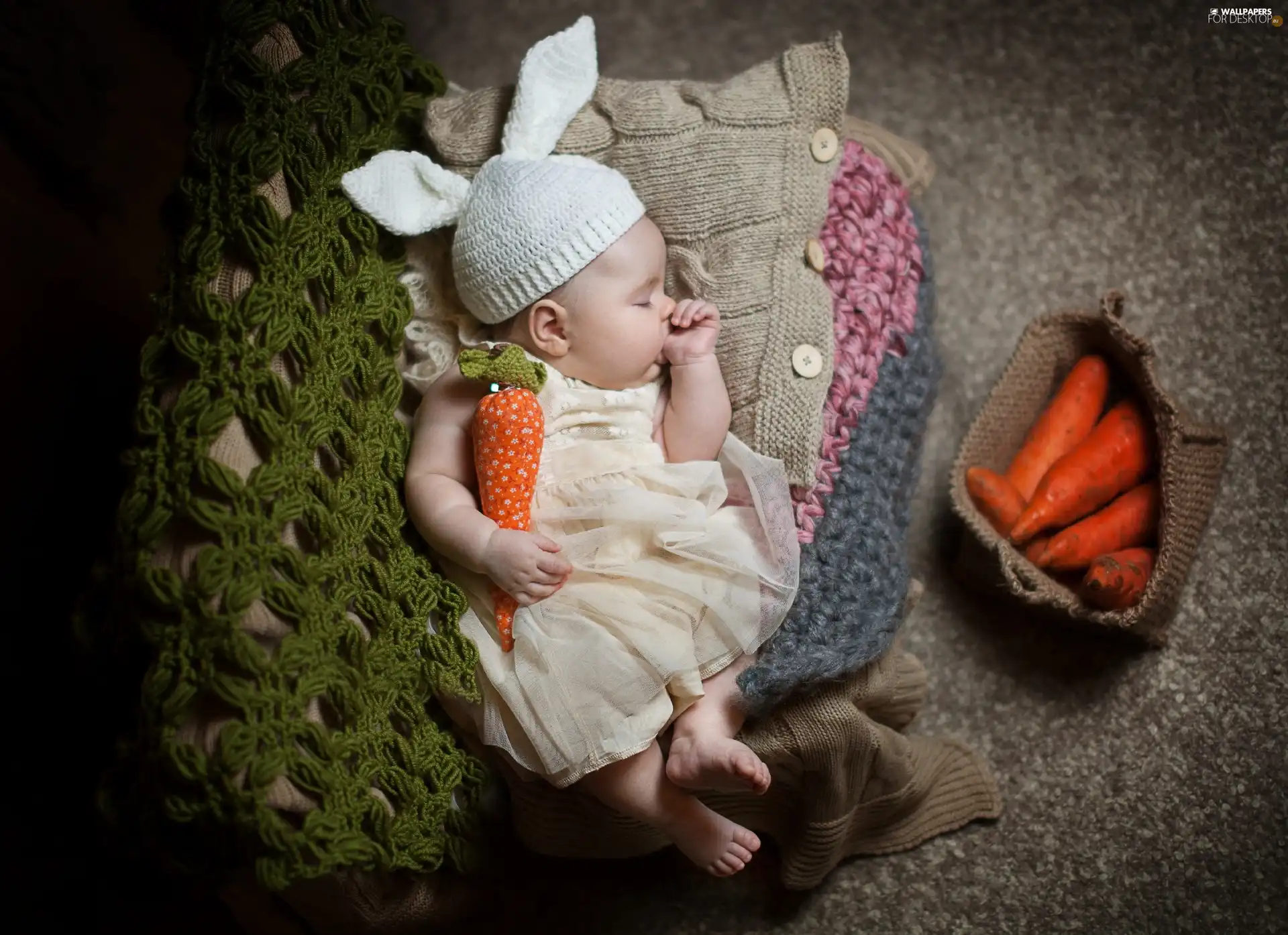 carrot, girl, Bunny