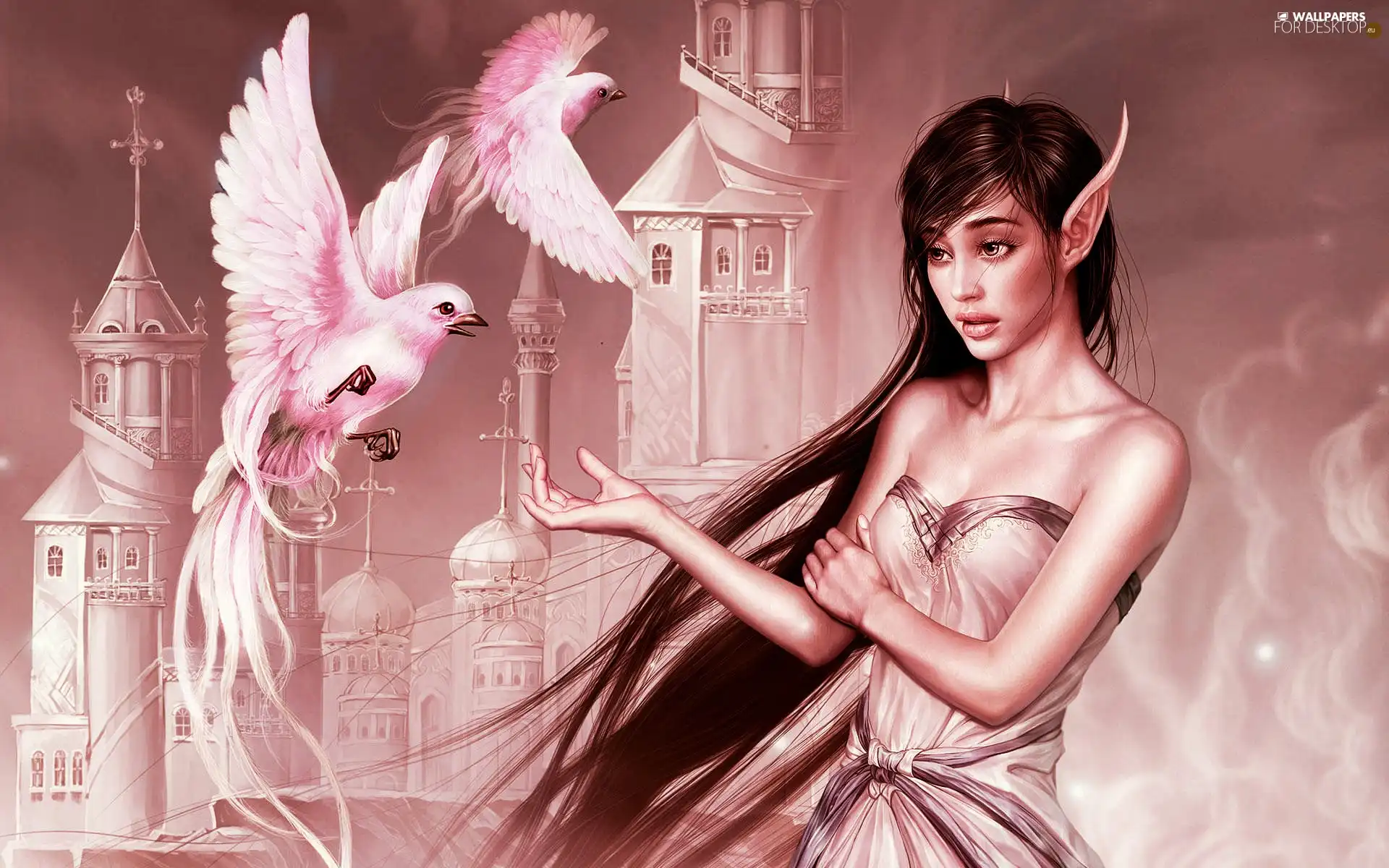 Women, birds, Castle, elf